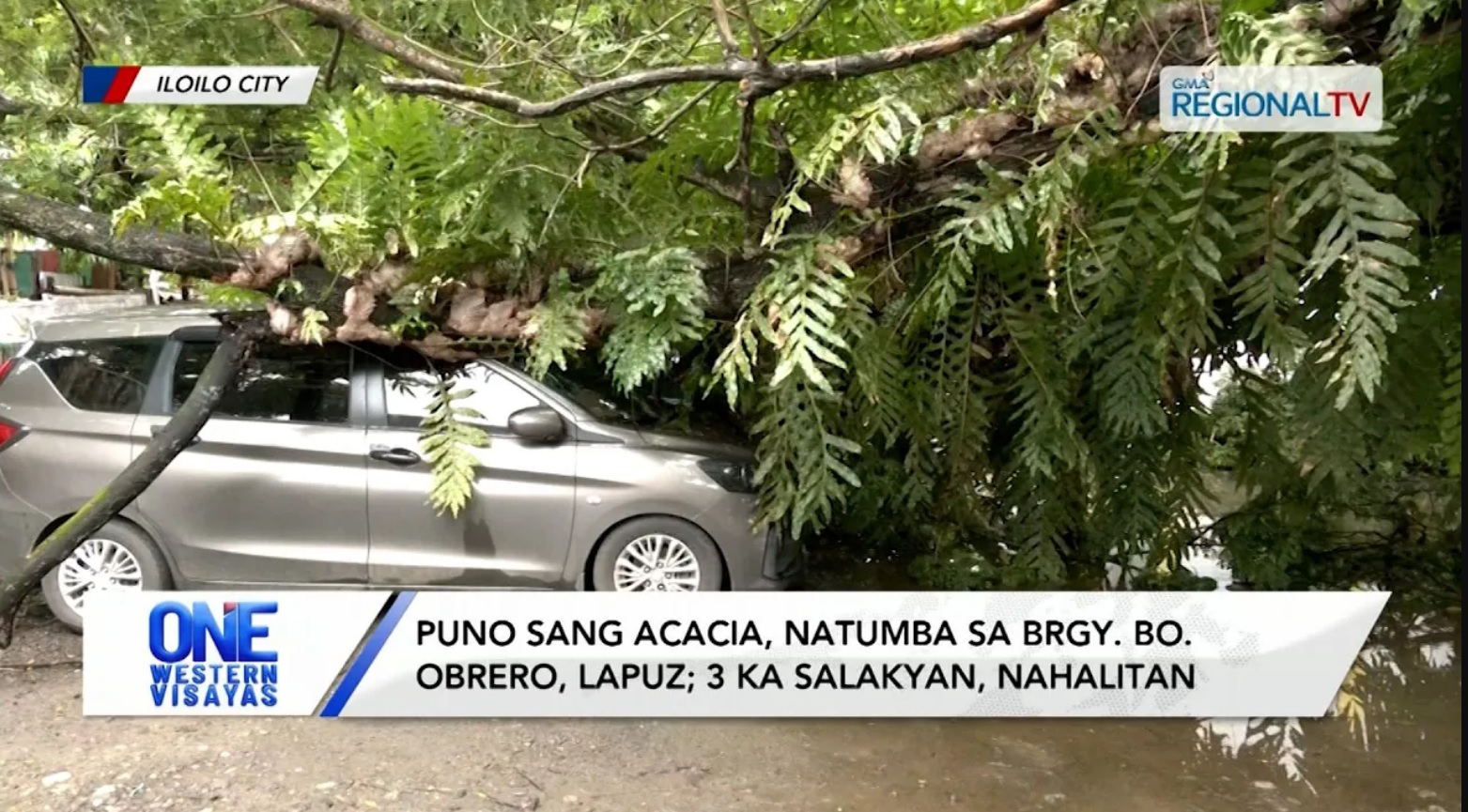 Puno sang acacia, natumba sa Brgy. Bo. Obrero, Lapuz; 3 ka salakyan, nahalitan