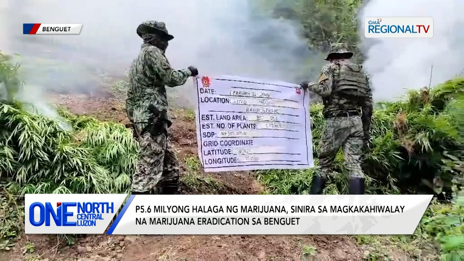 P5.6 million halaga ng marijuana, sinira sa marijuana eradication | One North Central Luzon