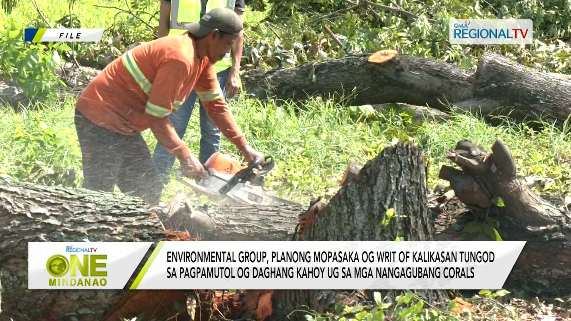 Environmental group, planong mopasaka og Writ of Kalikasan