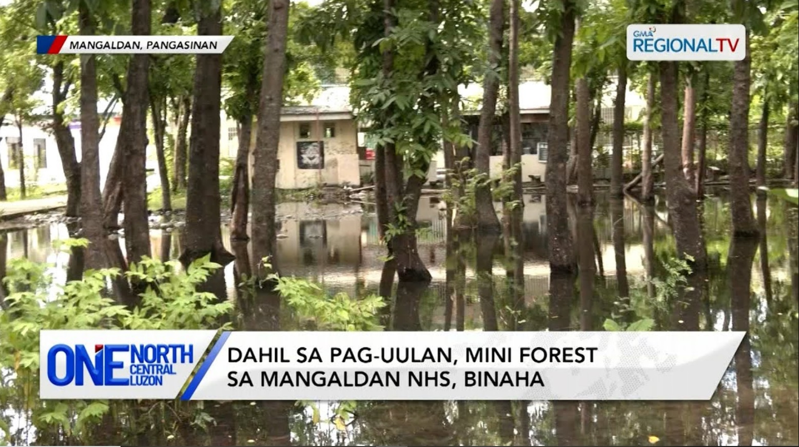 Dahil sa pag-uulan, mini forest sa Mangaldan NHS, binaha