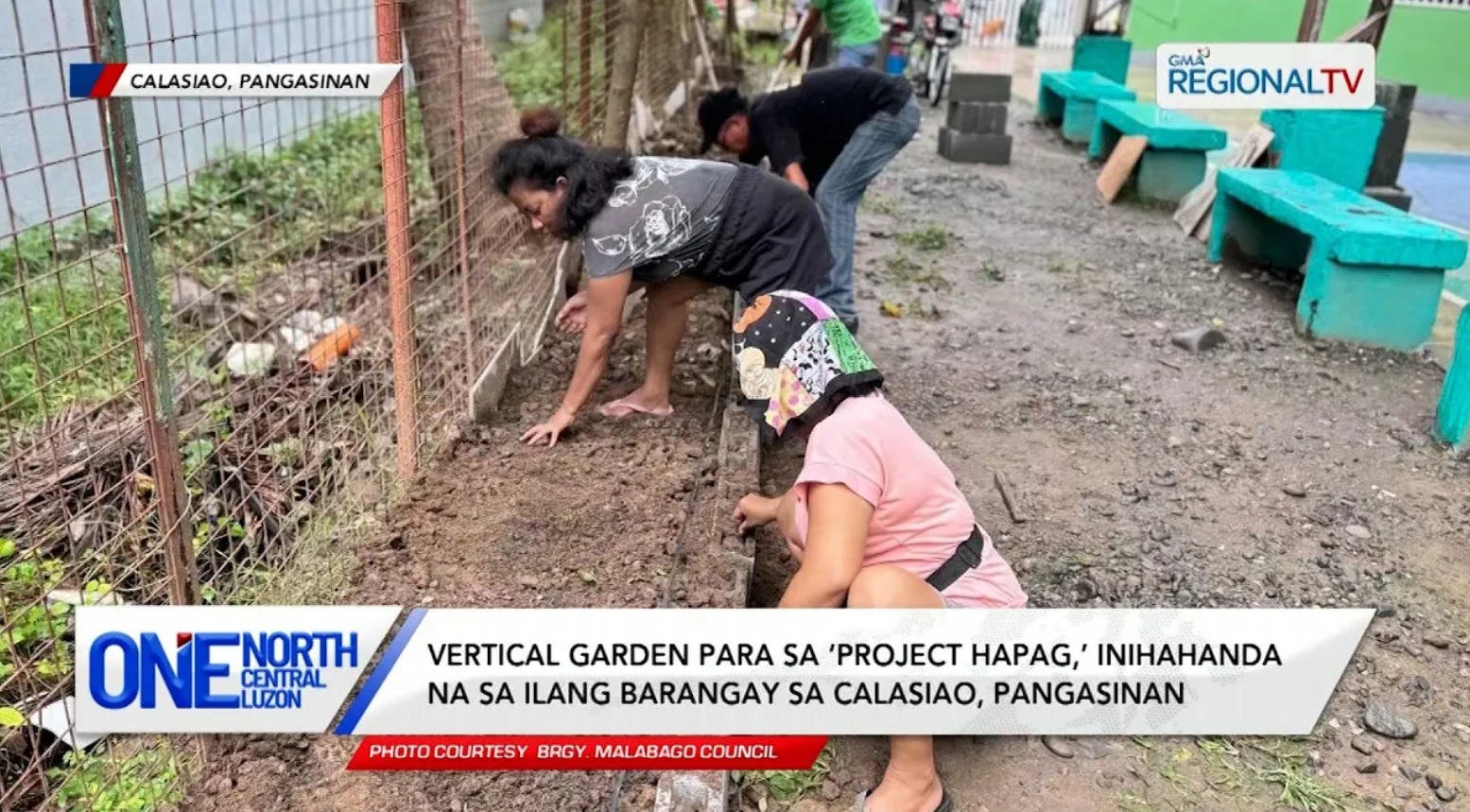 Vertical garden para sa ‘Project Hapag,’ inihahanda na sa ilang barangay