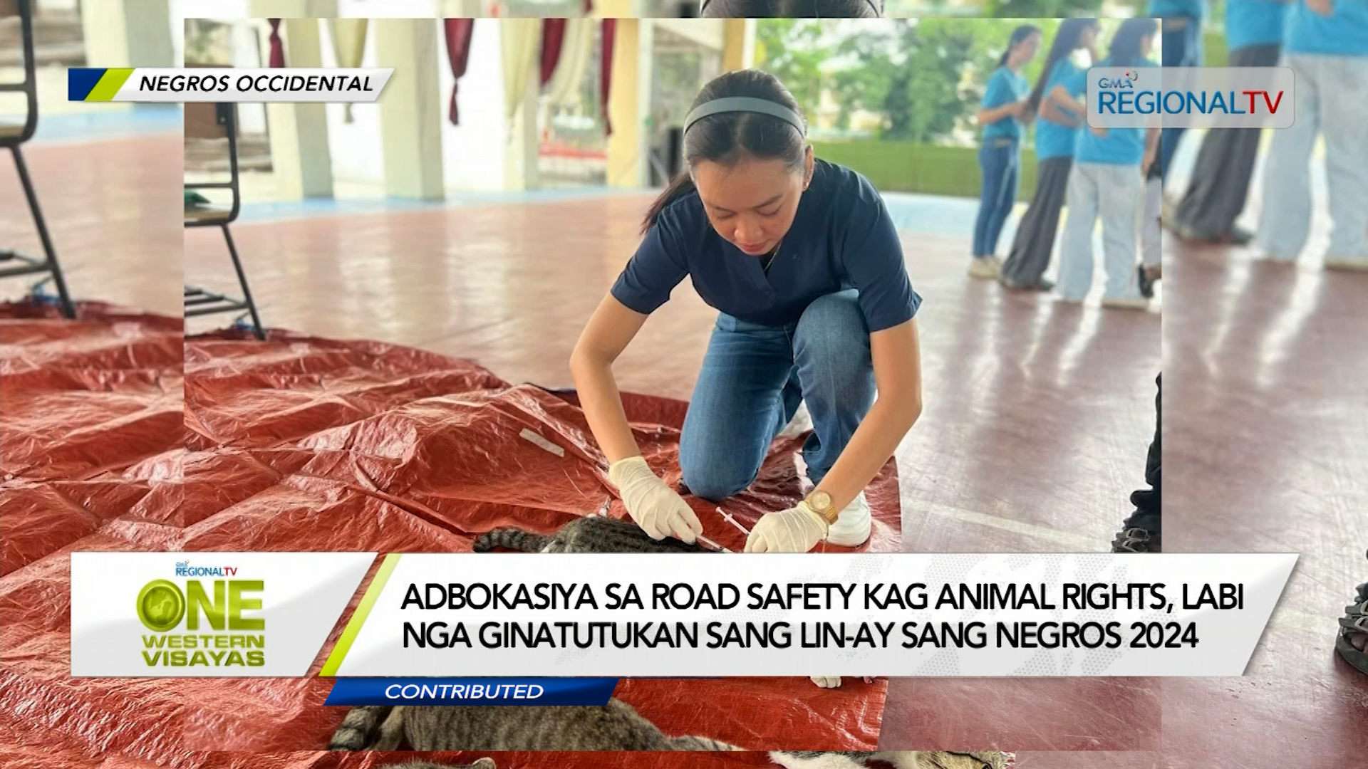 Adbokasiya sa road safety kag animal rights sang Lin-ay sang Negros 2024