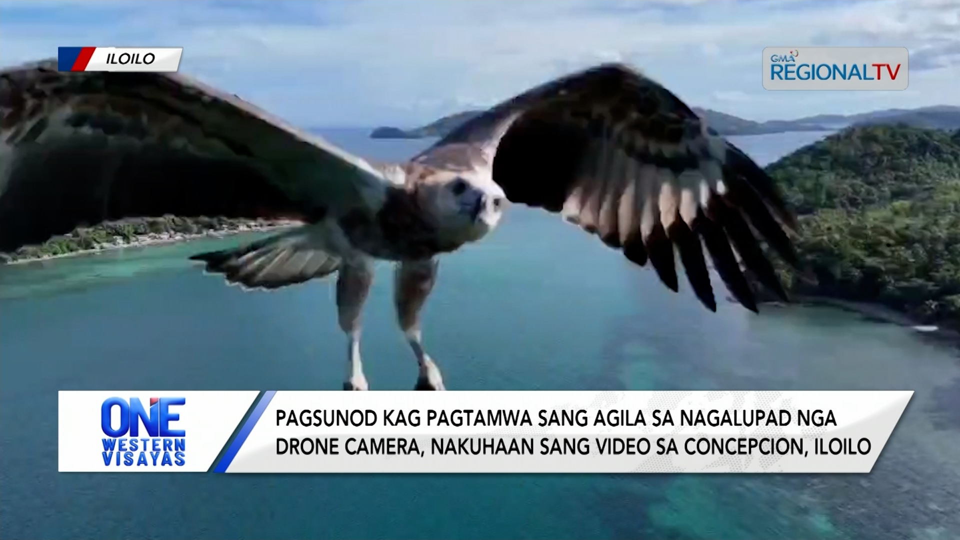 Agila, Nagasunod sa Nagalupad ng Drone Camera sa Isla sang Concepcion, Iloilo