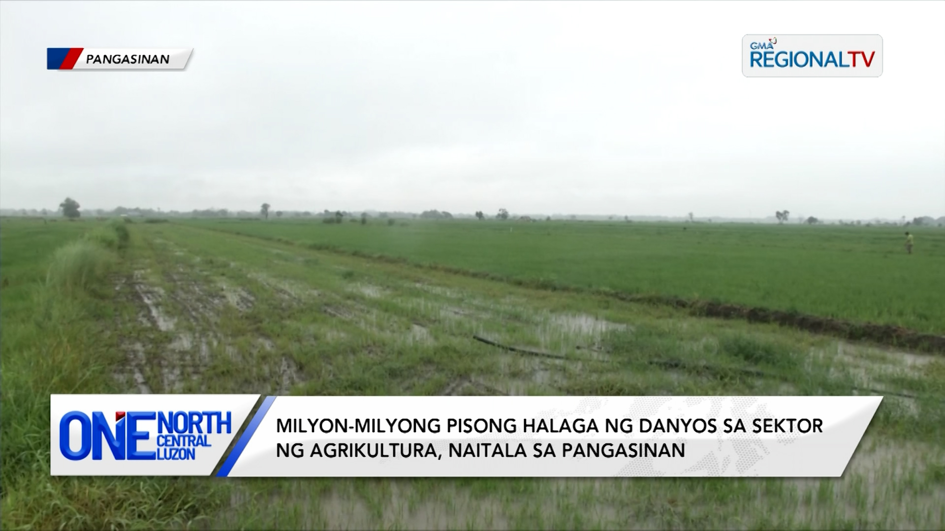 Milyong pisong halaga ng danyos sa agrikultura, naitala sa Pangasinan