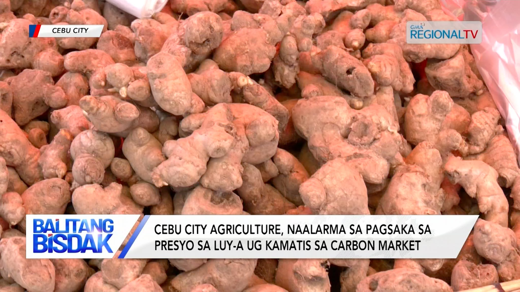 City Agriculture, naalarma sa pagsaka sa presyo sa luy-a ug kamatis sa Carbon