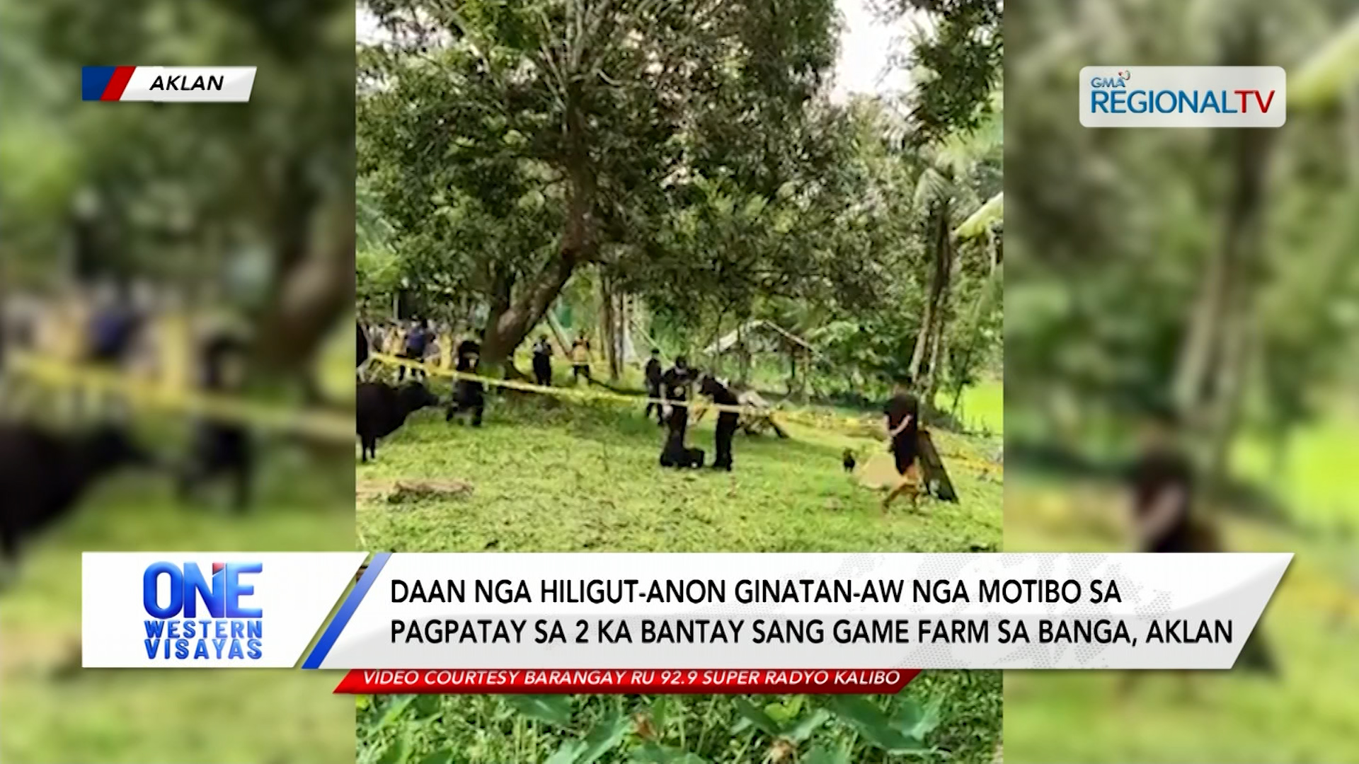 Motibo sa pagpatay sa 2 ka bantay sang game farm sa Banga, Aklan