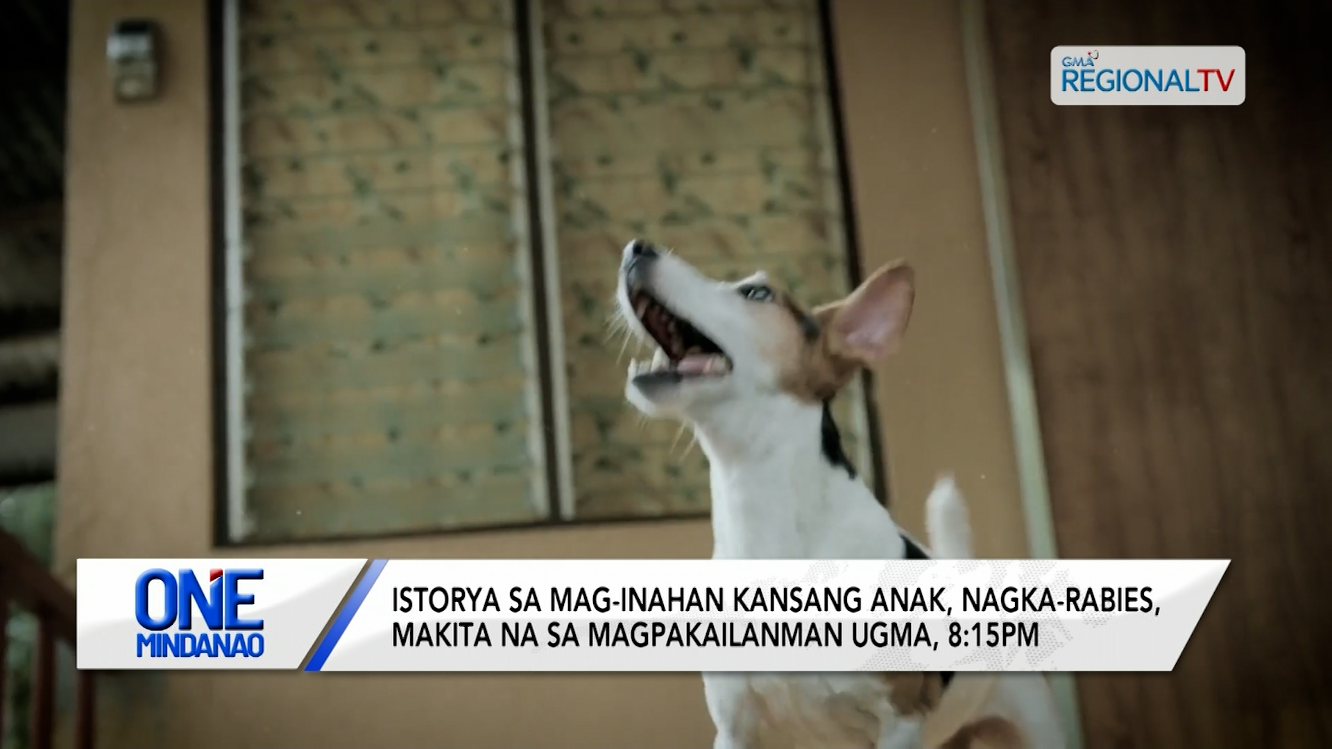 Vocal showdown, nagpadayon sa battle rounds sa The Voice Kids | One Mindanao