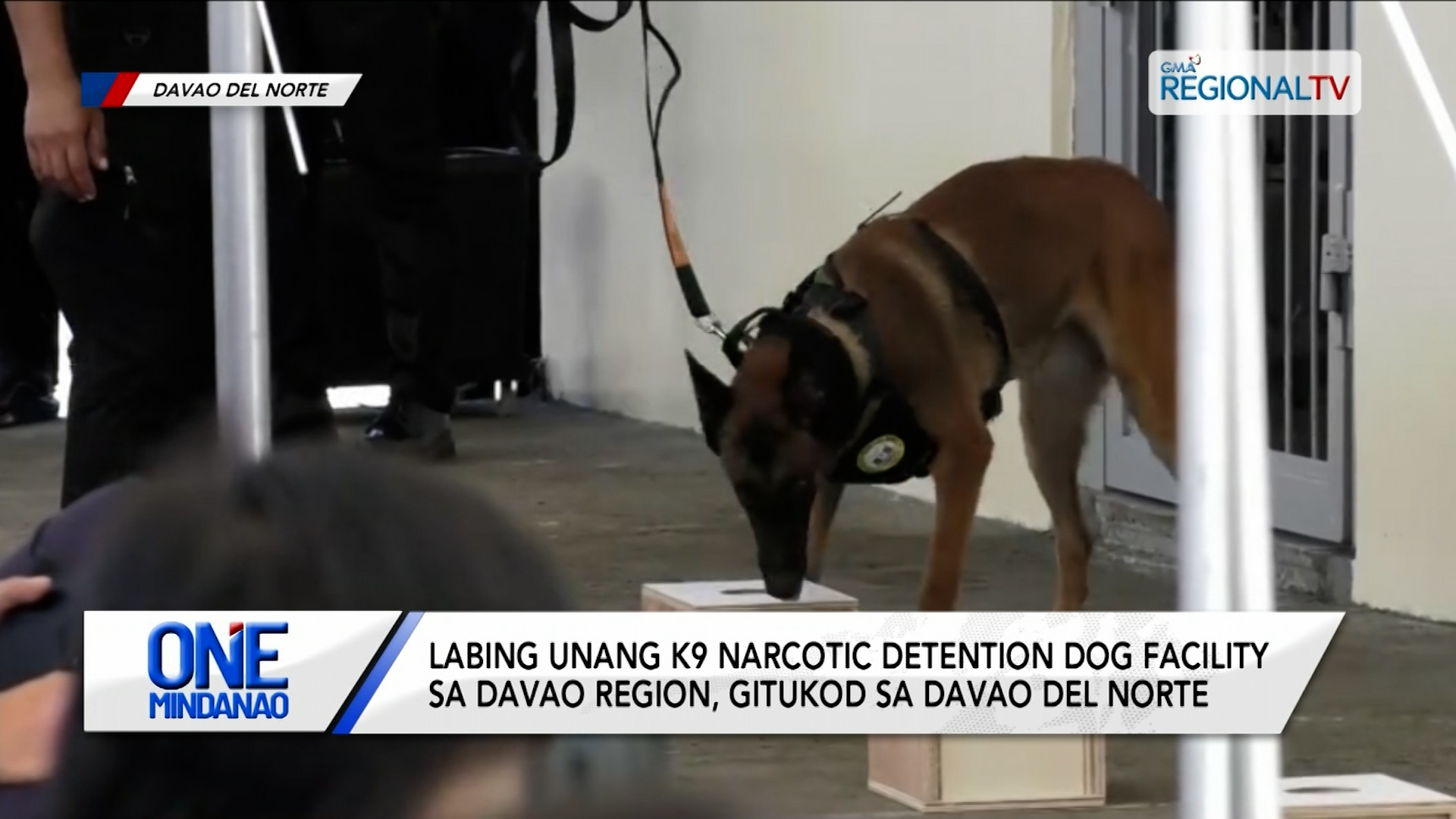 Labing unang K9 Narcotic Detention Dog Facility sa Davao Region, gitukod | One Mindanao