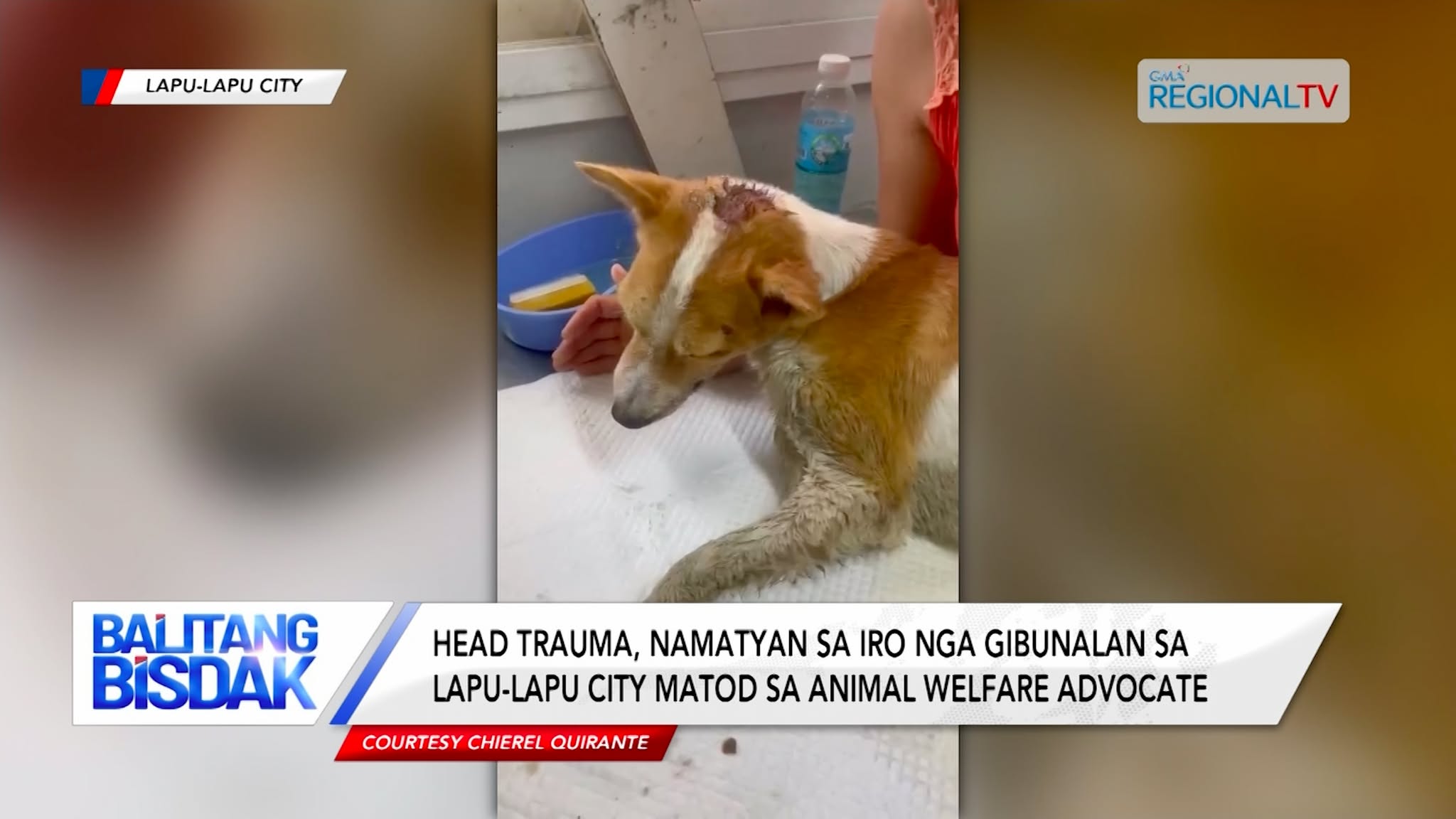 Head Trauma, Namatyan sa Iro nga Gibunalan sa Lapu-Lapu City | Balitang Bisdak