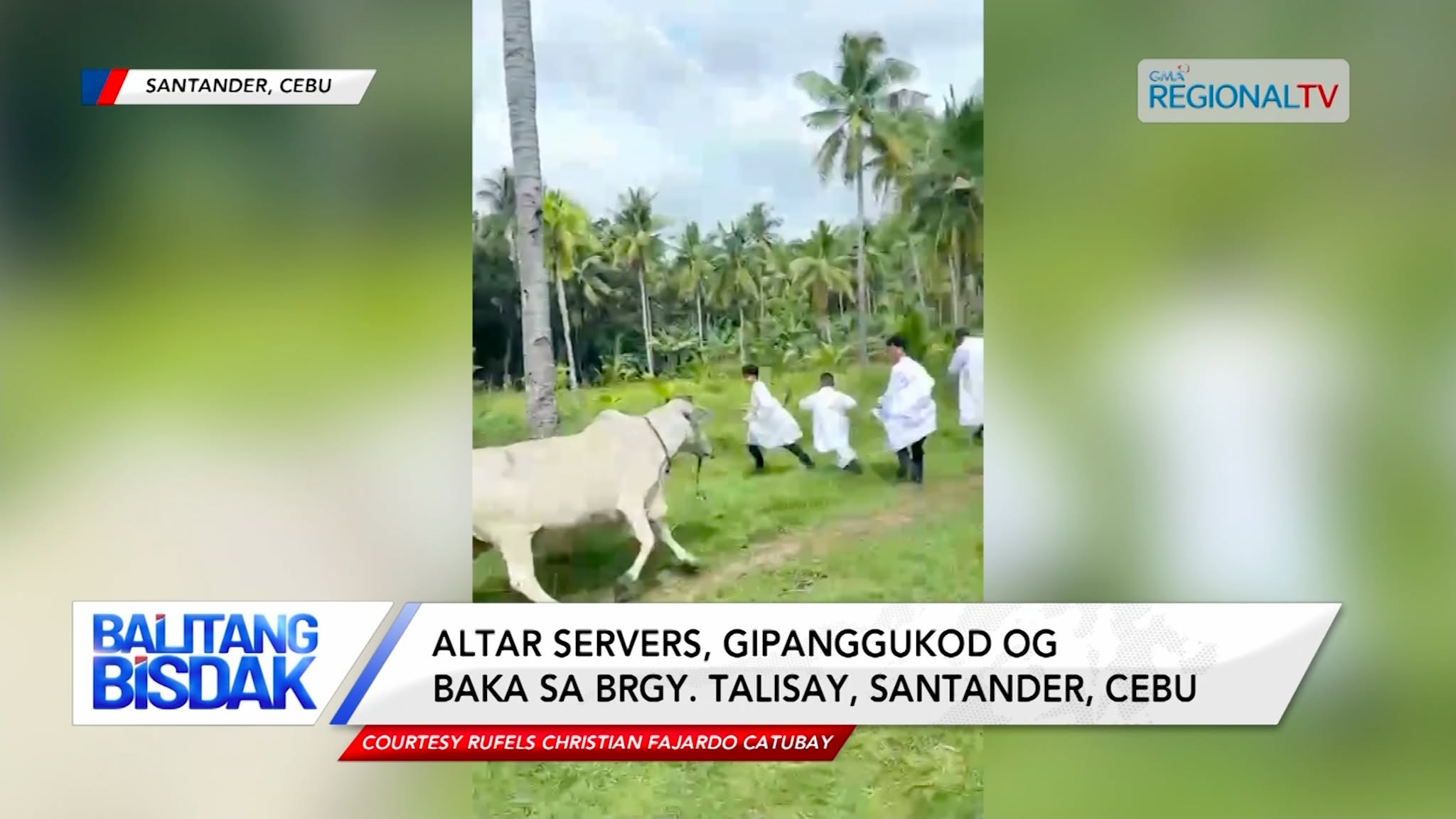 Mga Sakristan, Gigukod og Baka sa Santander | Balitang Bisdak