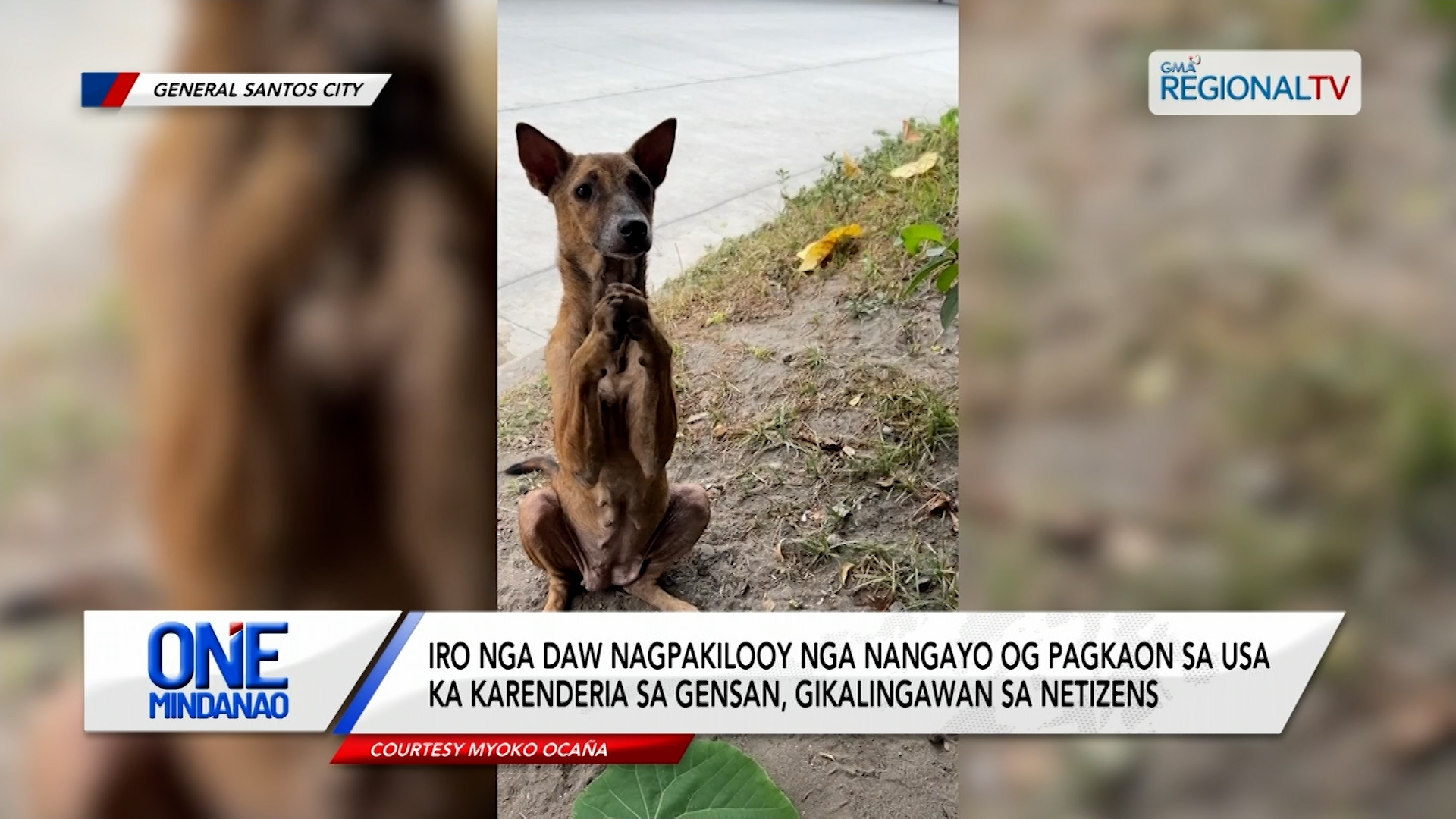 Iro nga nangayo og pagkaon, gikalingawan | One Mindanao