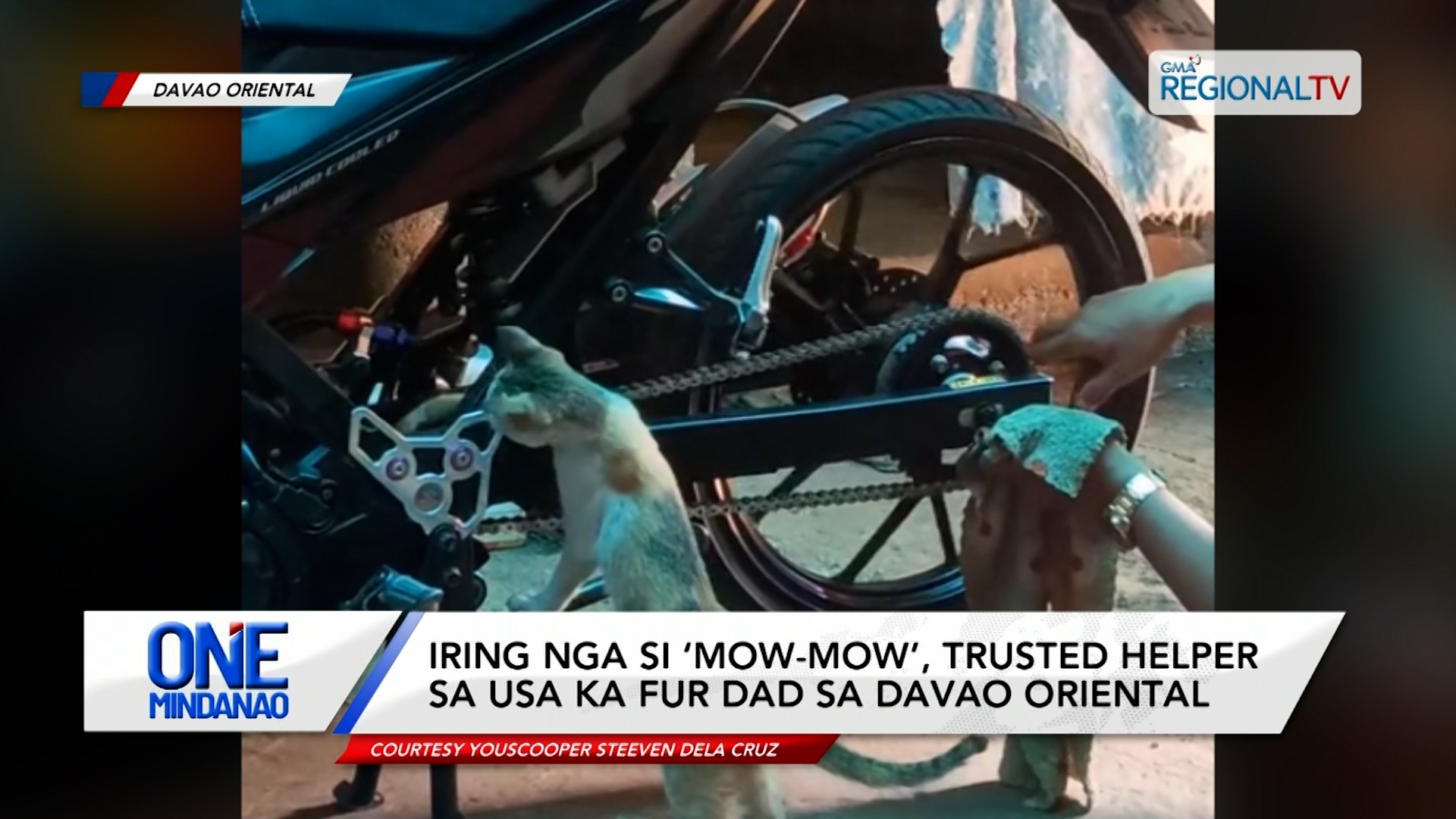 Iring nga si ‘Mow-Mow’, trusted helper sa usa ka ‘fur dad’ sa Davao Orienta| One Mindanao