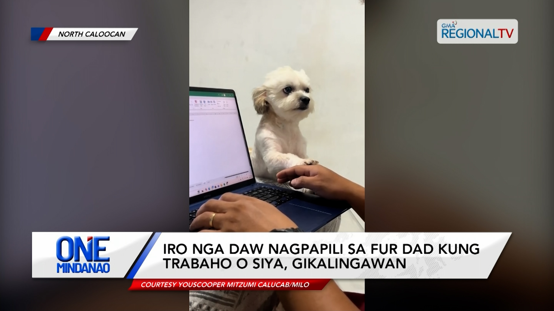 Iro nga daw nagpapili sa fur dad kung trabaho o siya, gikalingawa| One Mindanao