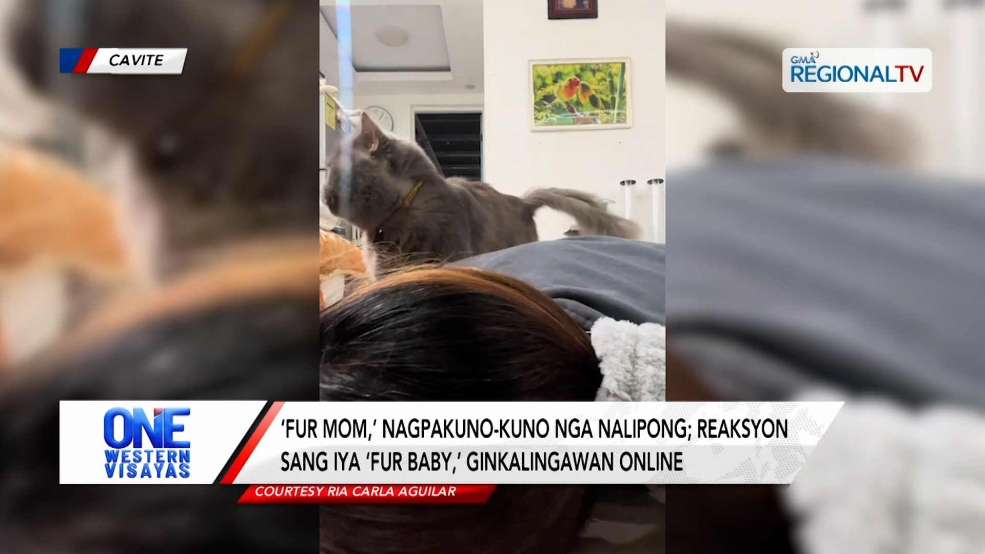 ‘Fur mom,’ nagpakuno-kuno nga nalipong; ‘fur baby,’ nag-react | One Western Visayas