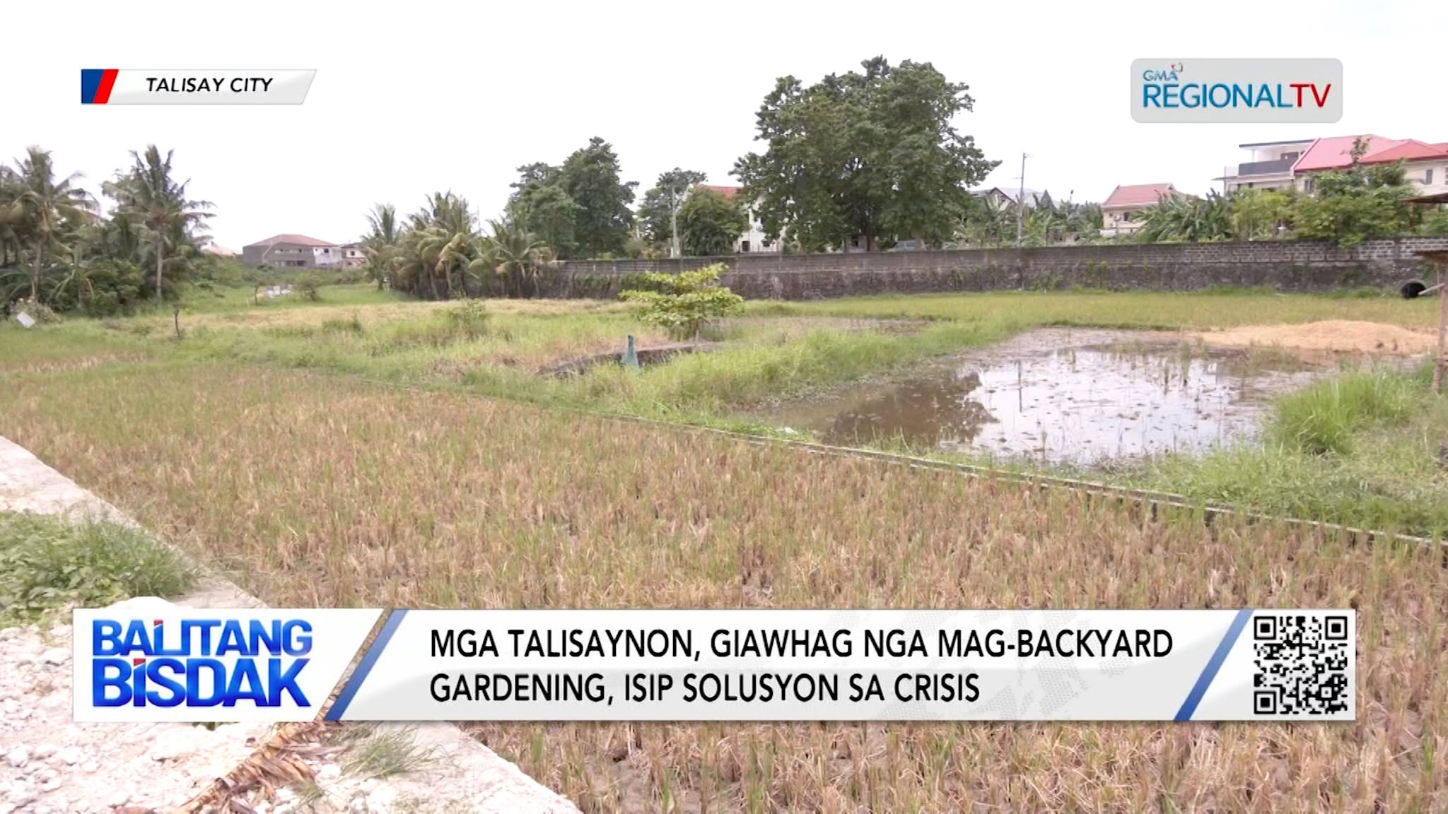 Mga Talisaynon, Giawhag nga Mag-Backyard Gardening | Balitang Bisdak