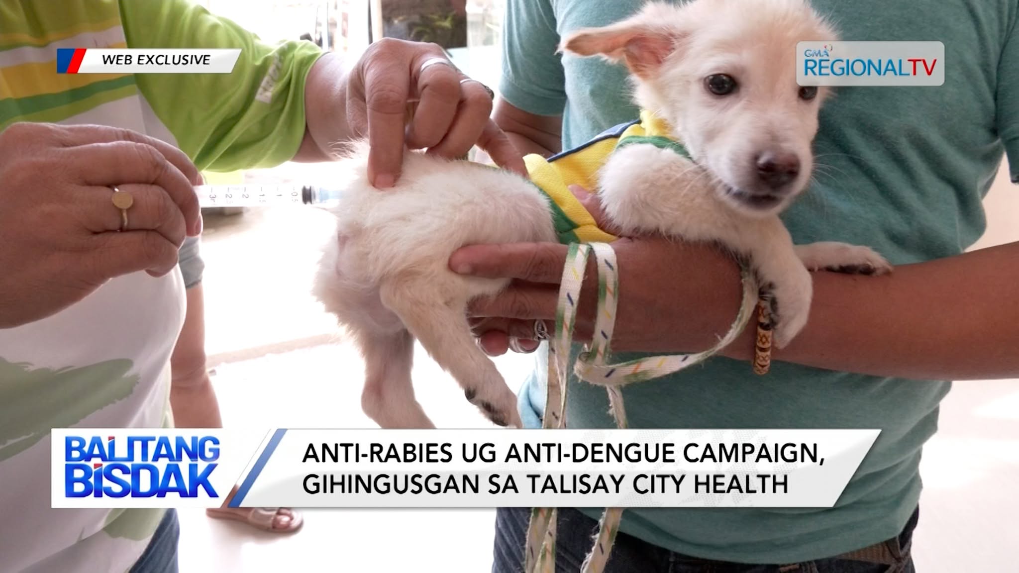 Anti-Rabies ug Anti-Dengue Campaign, Gihingusgan sa Talisay City Health | Balitang Bisdak