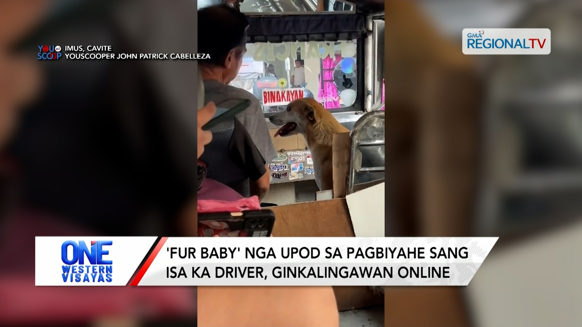 'Fur baby' nga upod sa pagbiyahe sang isa ka driver, ginkalingawan online | One Western Visayas