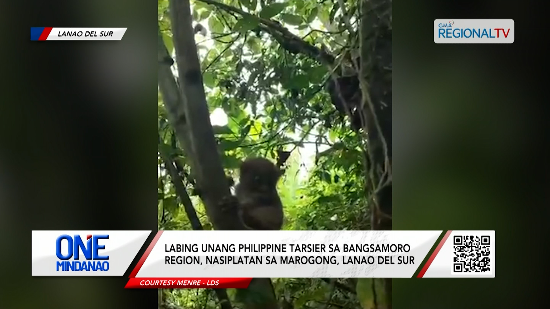 Philippine Tarsier sa Bangsamoro region, nasiplatan sa Lanao del Sur I One Mindanao