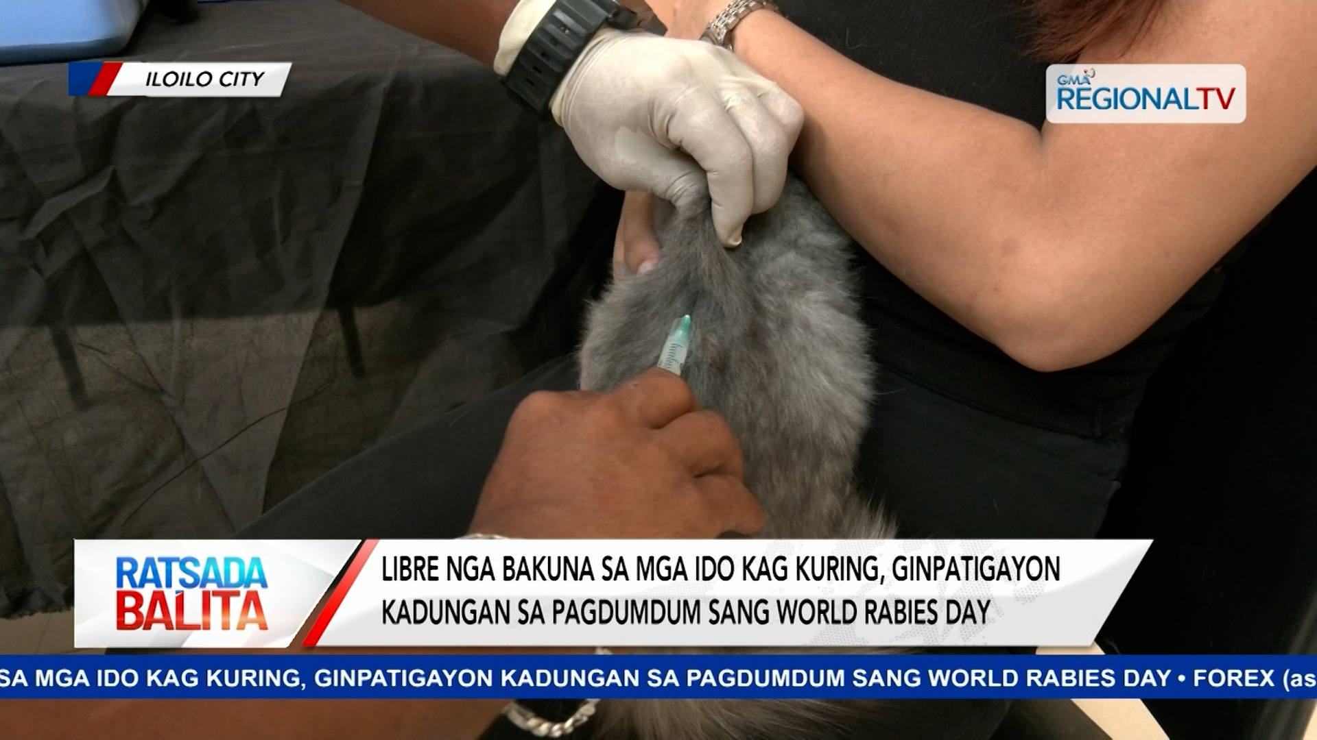 Libre nga pagpangbakuna sa mga ido kag kuring | Ratsada Balita