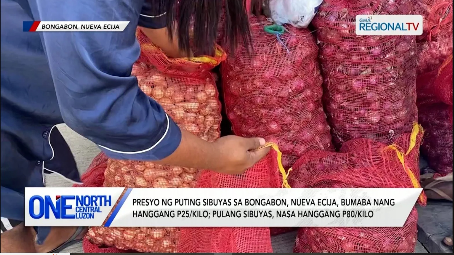 Presyo ng puting sibuyas sa Nueva Ecija, bumaba nang hanggang P25/kilo