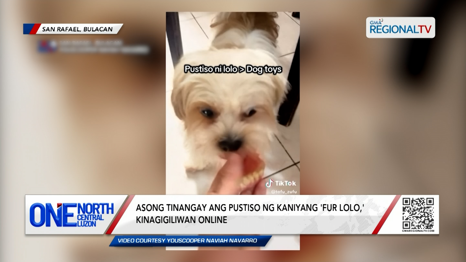 Asong tinangay ang pustiso ng kaniyang 'fur lolo,' kinagigiliwan online | One North Central Luzon
