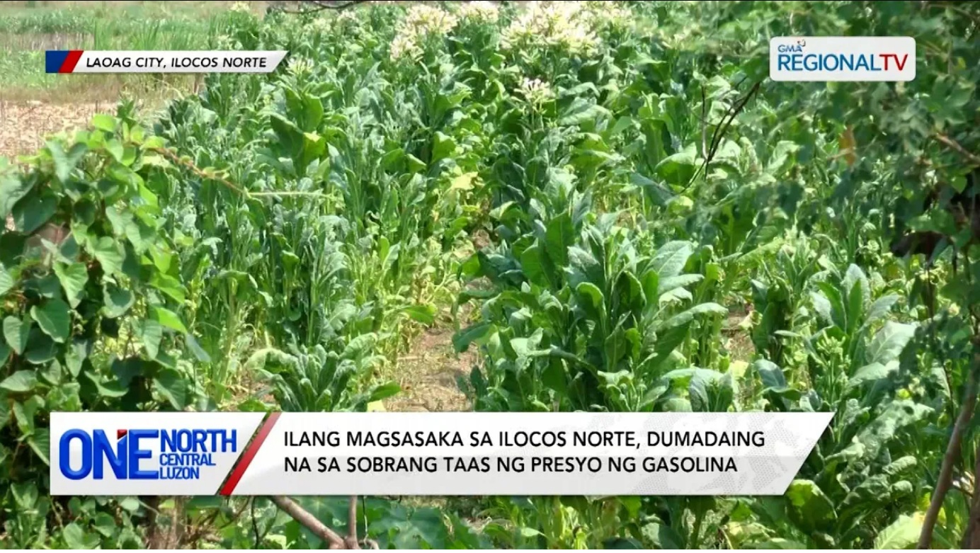 Ilang magsasaka, dumadaing sa sobrang taas ng presyo ng gasolina | One North Central Luzon