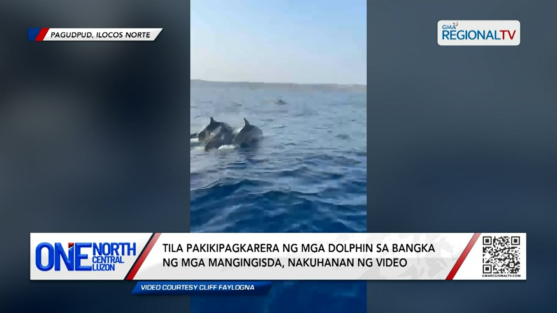 Pakikipagkarera ng mga dolphin sa bangka, nakuhanan ng video | One North Central Luzon