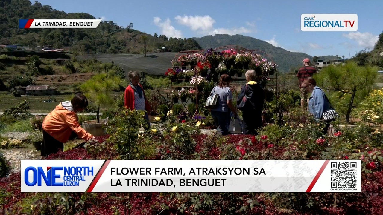 Flower farm, atraksyon sa La Trinidad, Benguet | One North Central Luzon