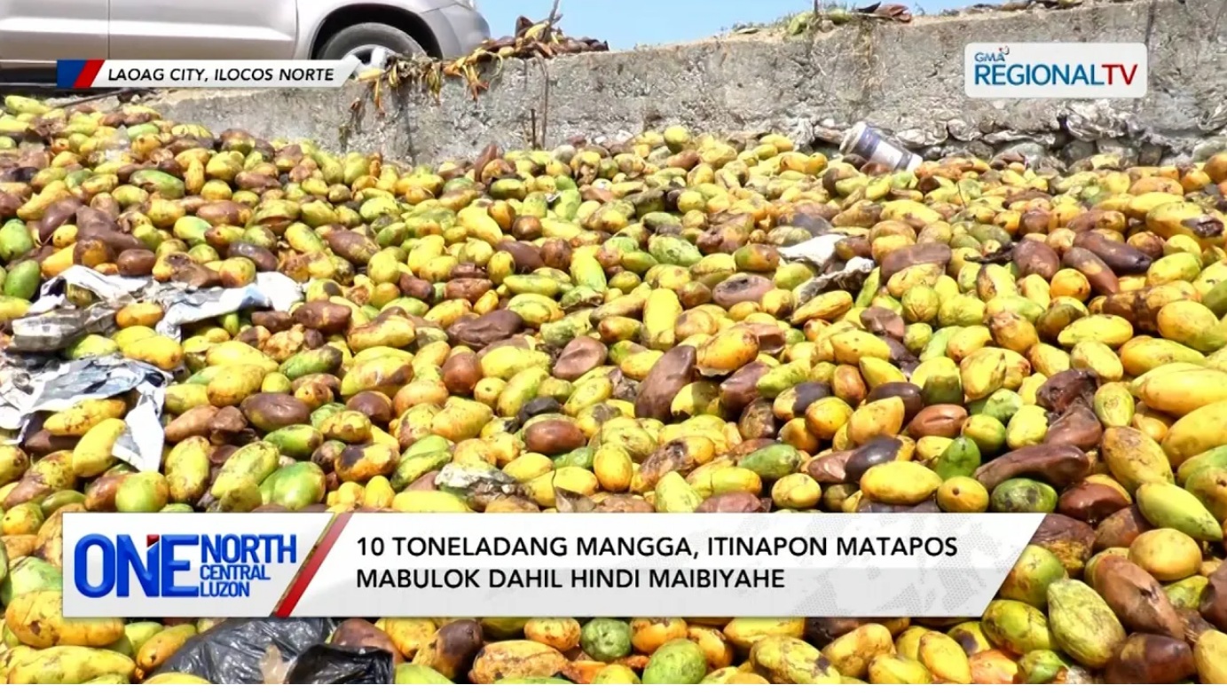 10 toneladang mangga, itinapon matapos mabulok | One North Central Luzon