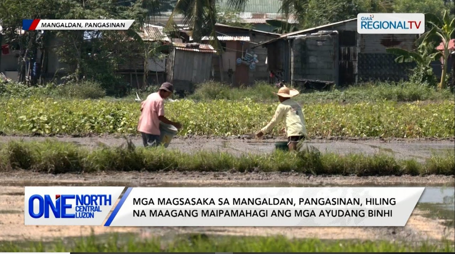 Mga magsasaka, hiling na maagang maipamahagi ang mga ayudang binhi