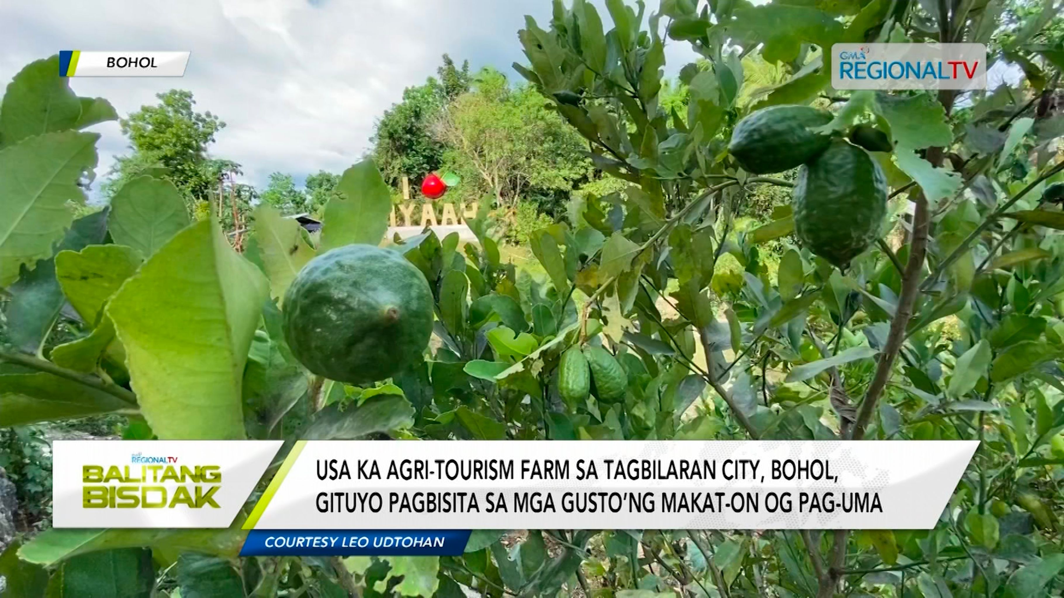 Agri-tourism farm sa Bohol, gidagsa