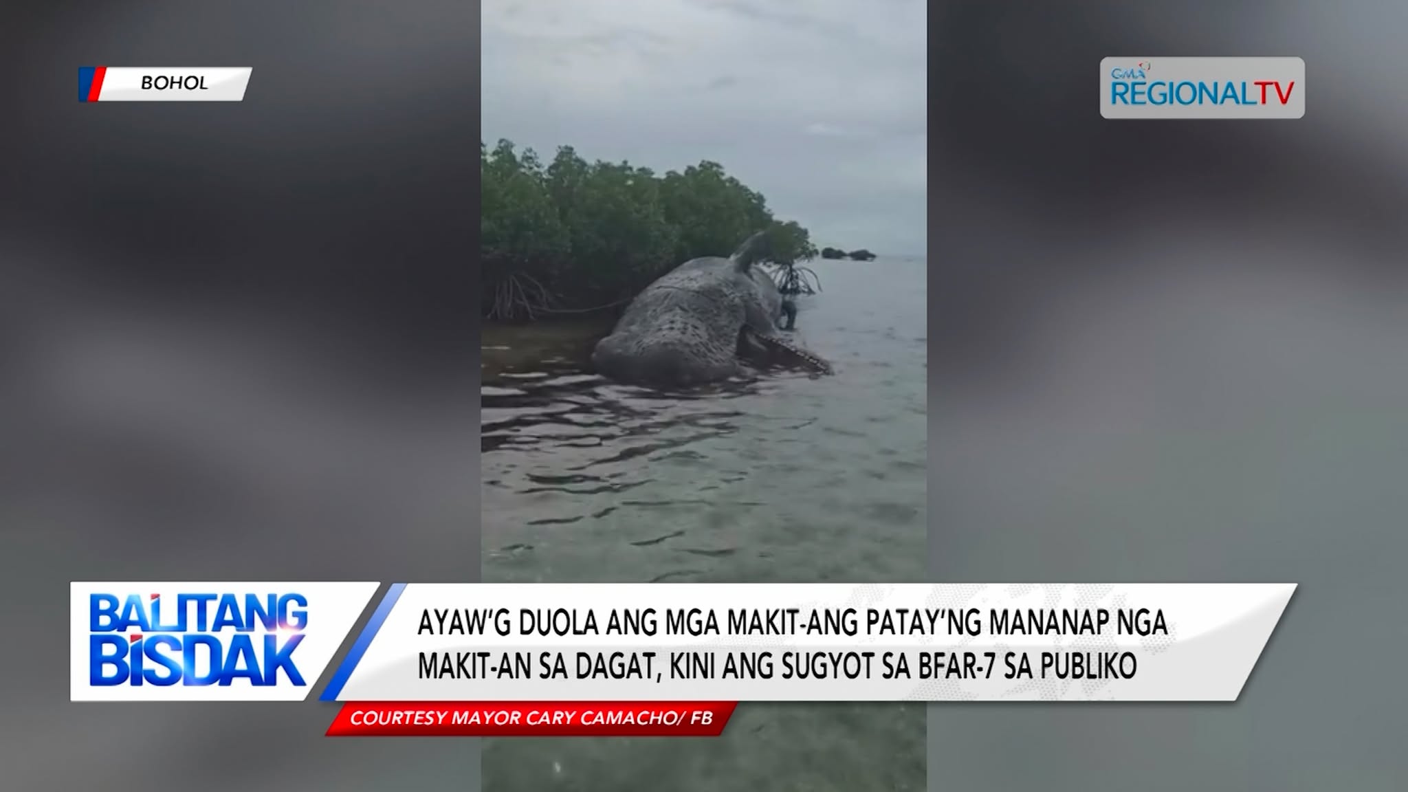 Mga patay nga mananap sa Dagat, Dili Angay’ng Doolon o Hikapon