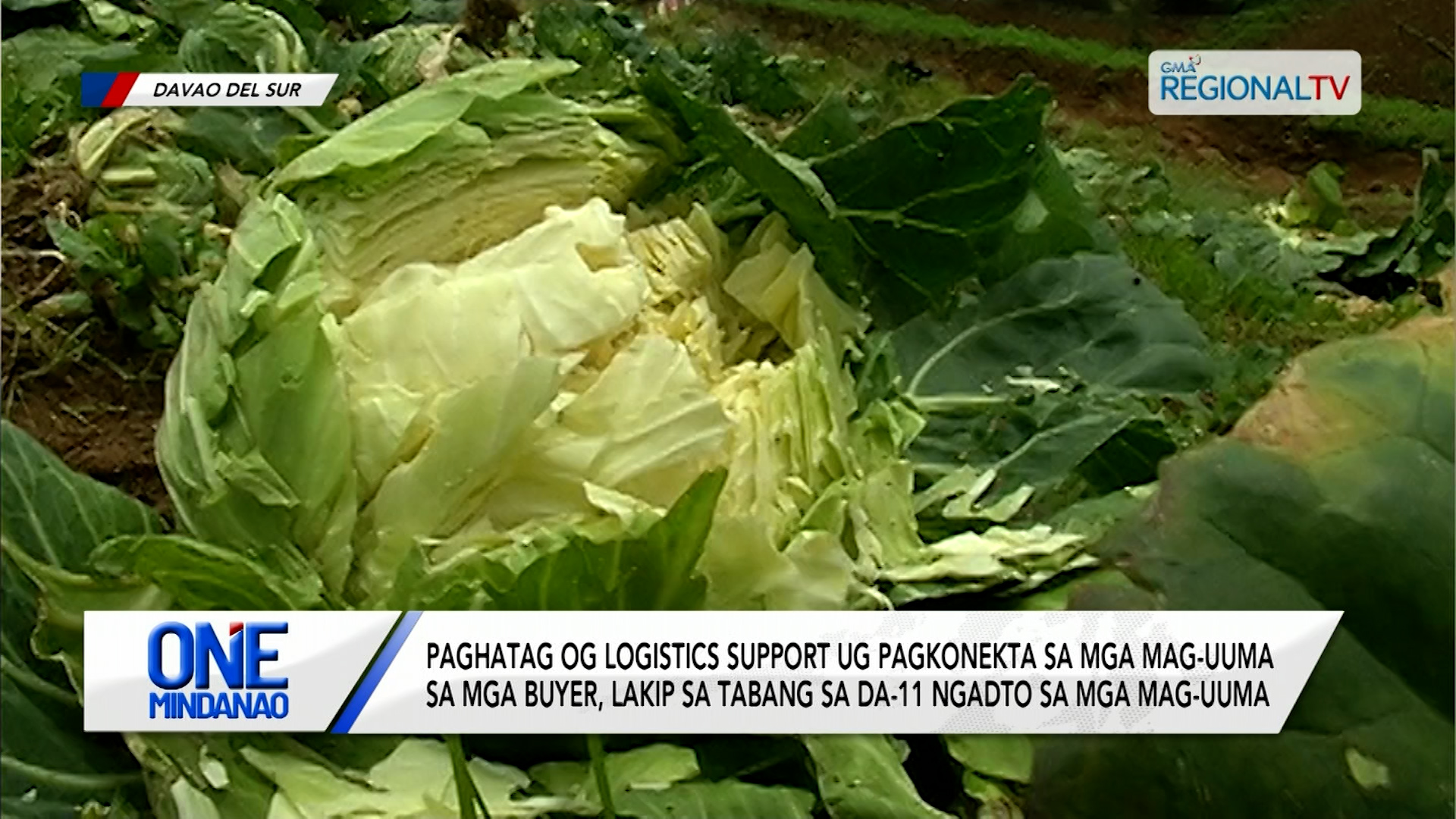 Pagkonekta sa mga mag-uuma sa mga buyer, lakip sa tabang sa DA-11
