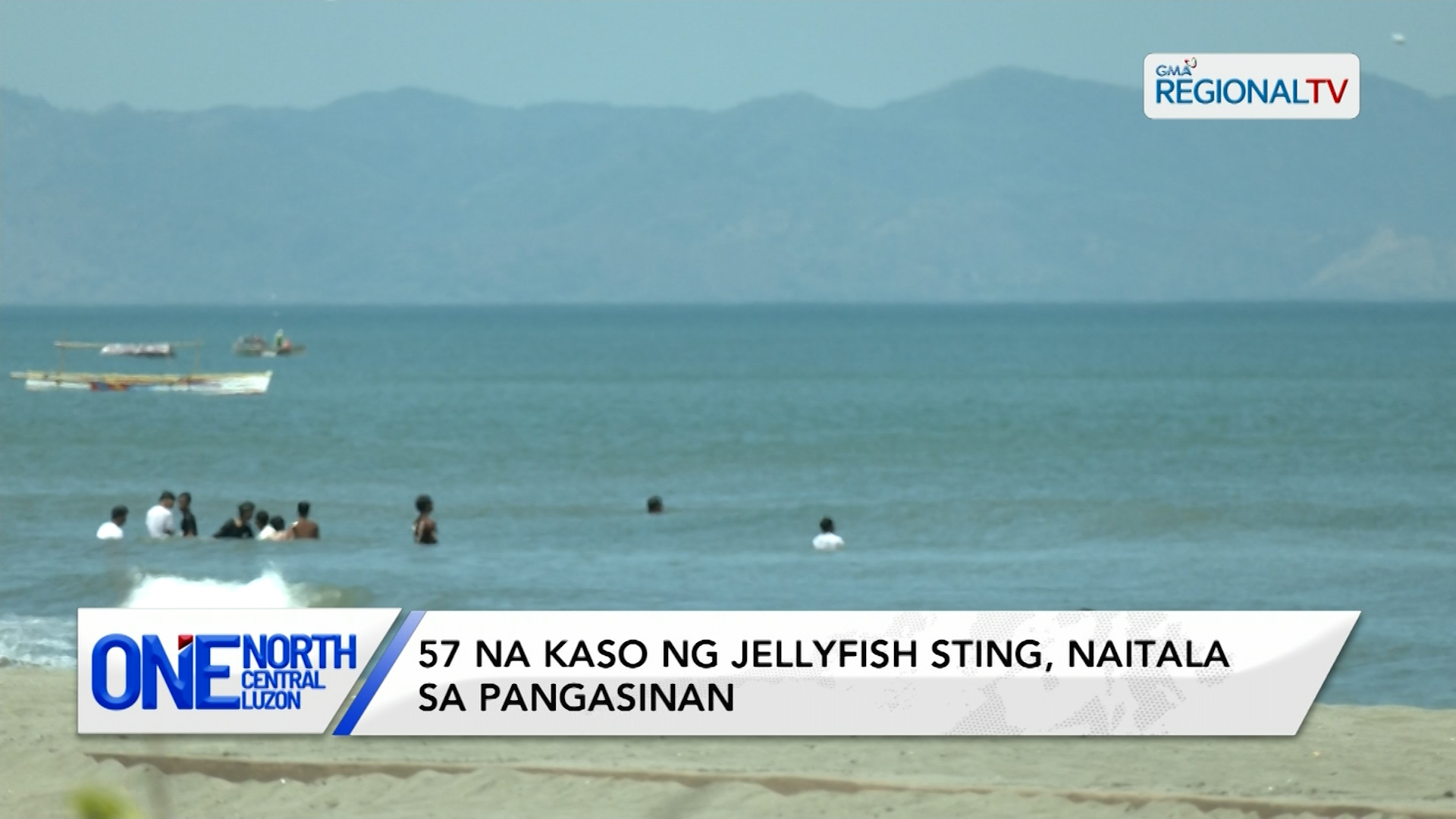 57 na kaso ng jellyfish sting, naitala sa Pangasinan