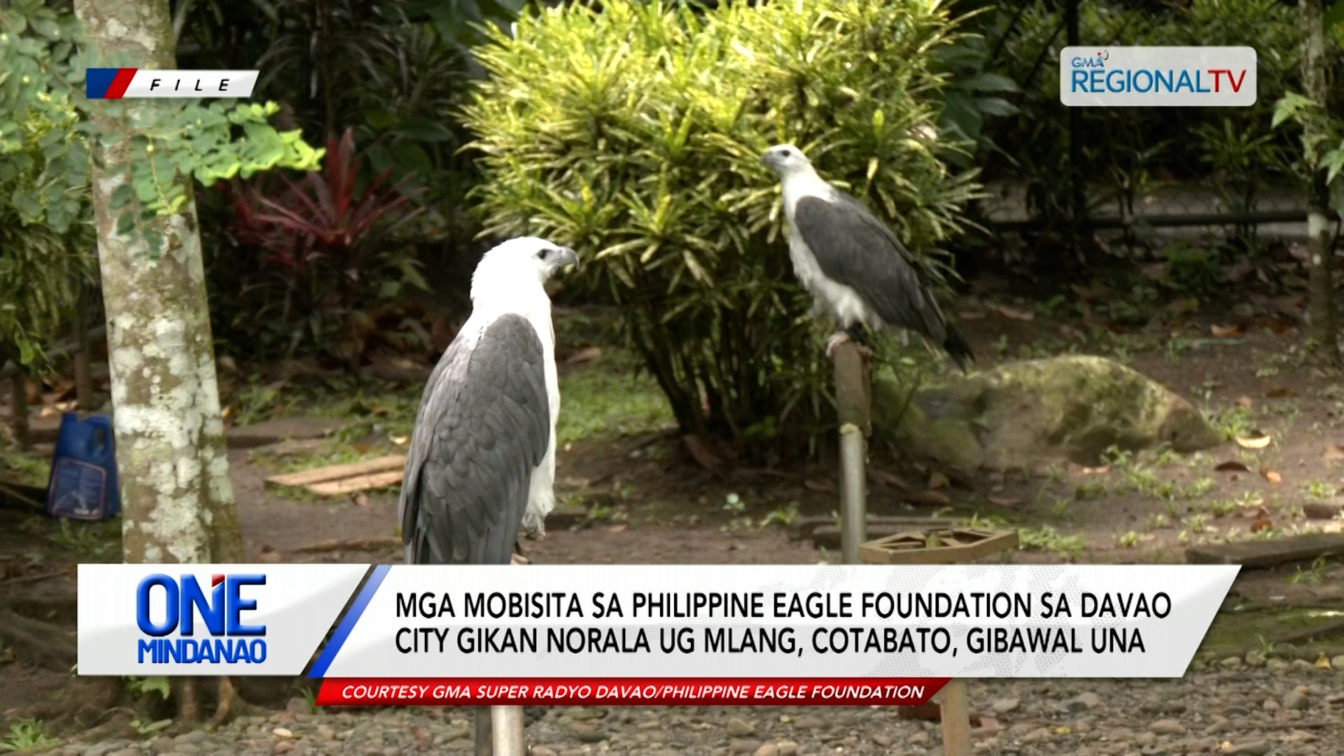 Mga mobisita sa Philippine Eagle Foundation sa gikan Norala ug Mlang, gibawal una | One Mindanao