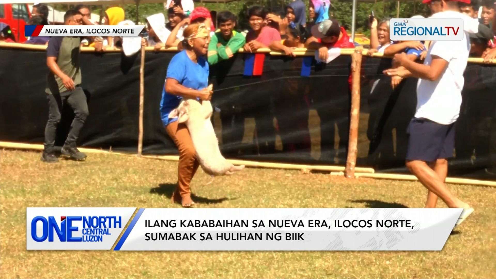 Ilang kababaihan sa Nueva Era, Ilocos Norte, sumabak sa hulihan ng biik | One North Central Luzon