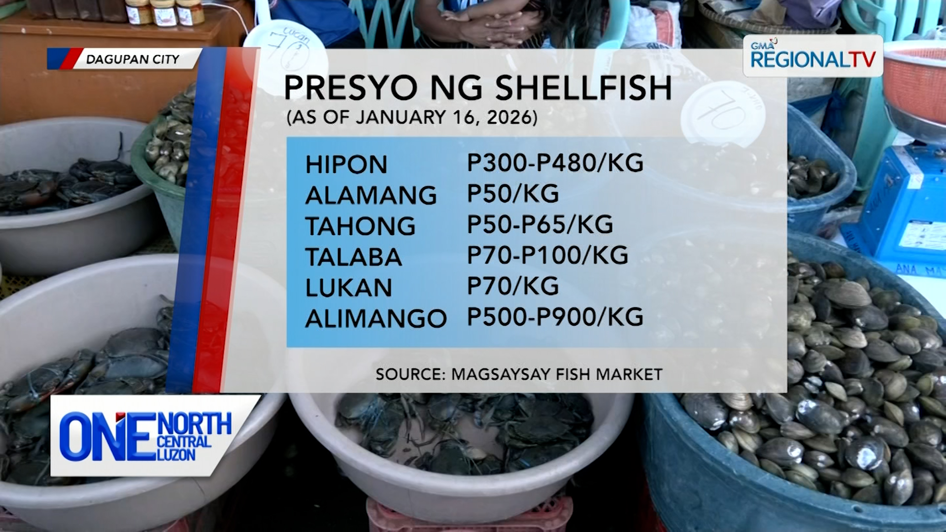 Monitoring sa mga shellfish, hinigpitan kasunod ng red tide alert | One North Central Luzon