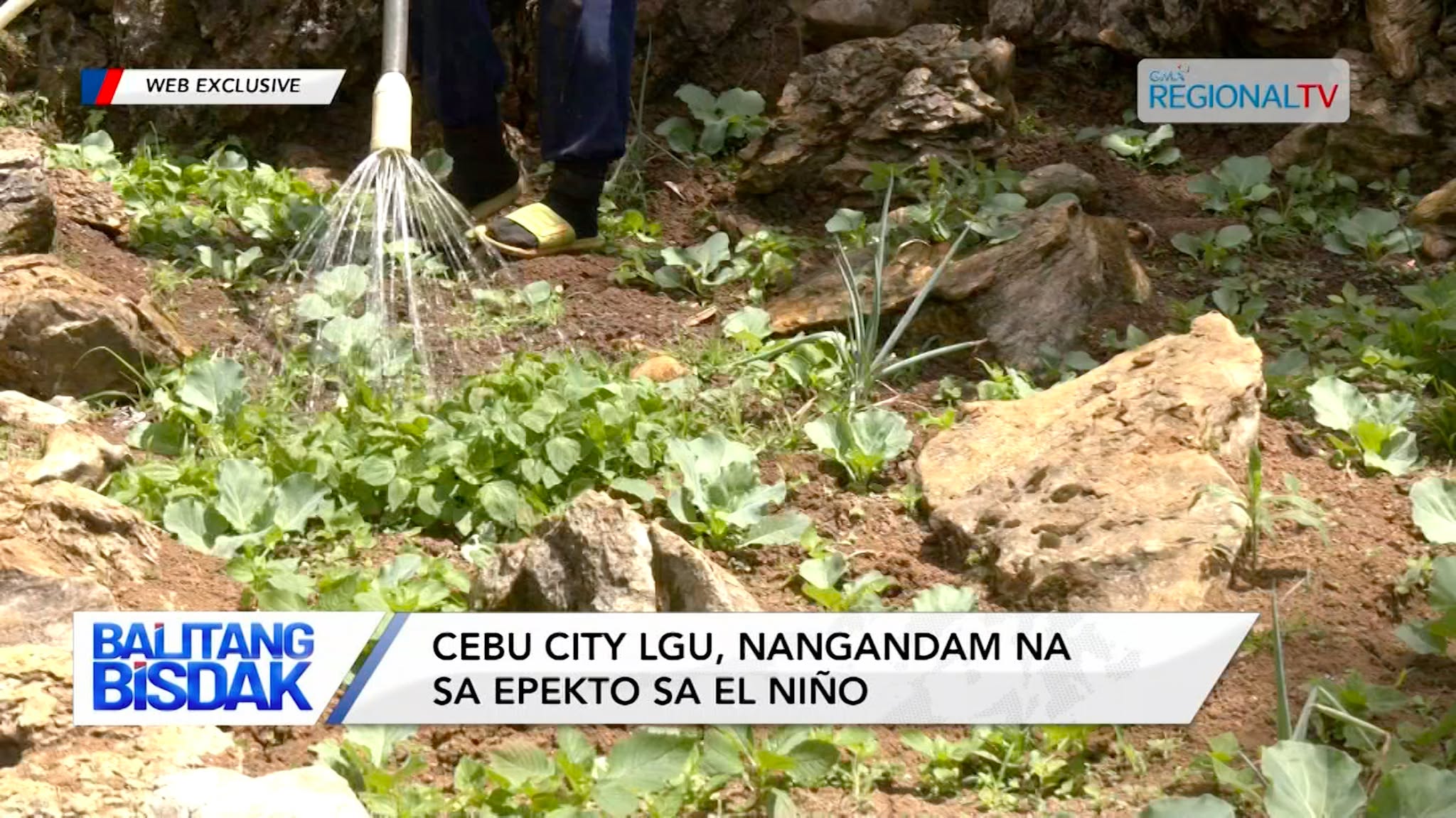 El Niño, Gipangandaman sa Cebu City LGU | Balitang Bisdak