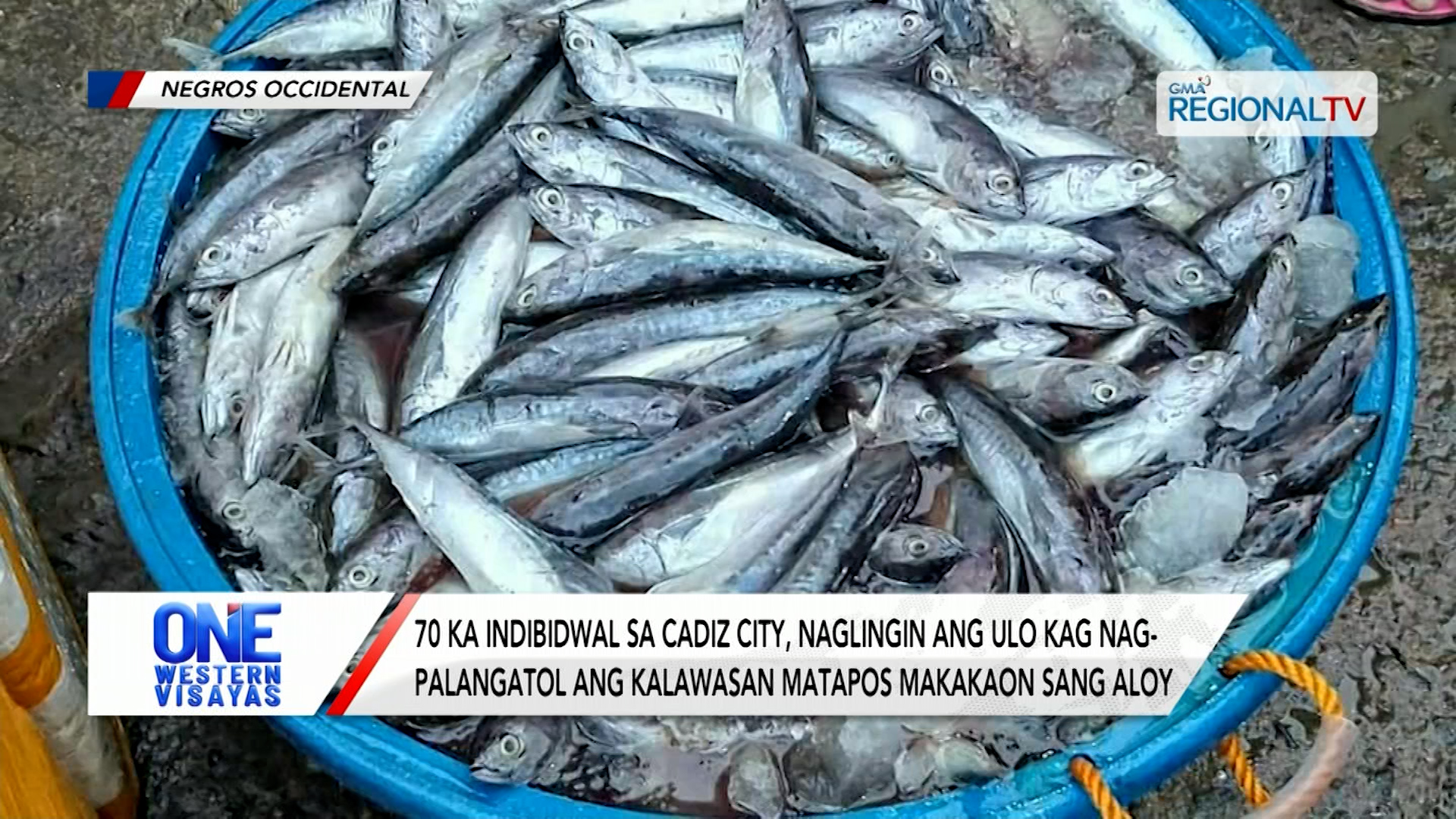 70 ka indibidwal sa Cadiz City, naglain ang pamatyag matapos makakaon sang aloy| One Western Visayas