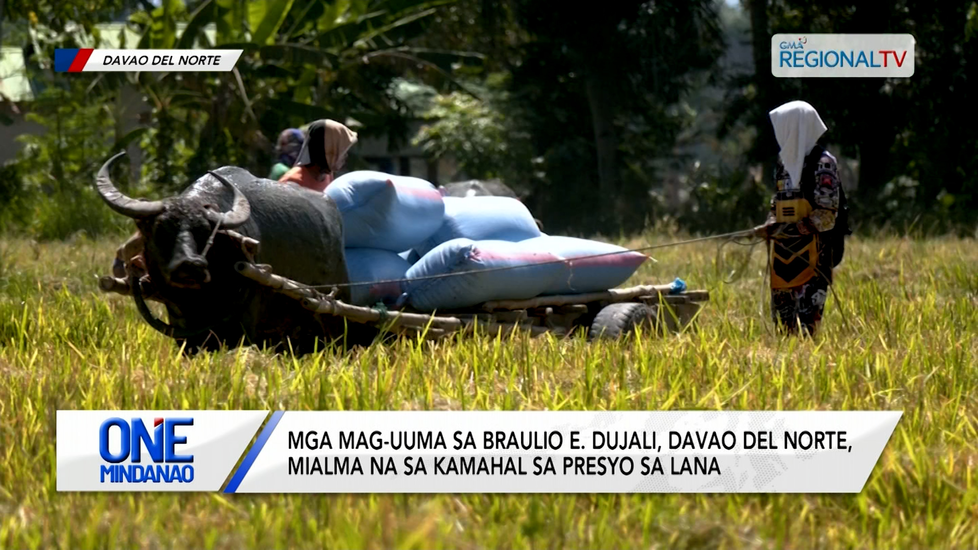 Mga mag-uuma, mialma na sa kamahal sa presyo sa lana | One Mindanao