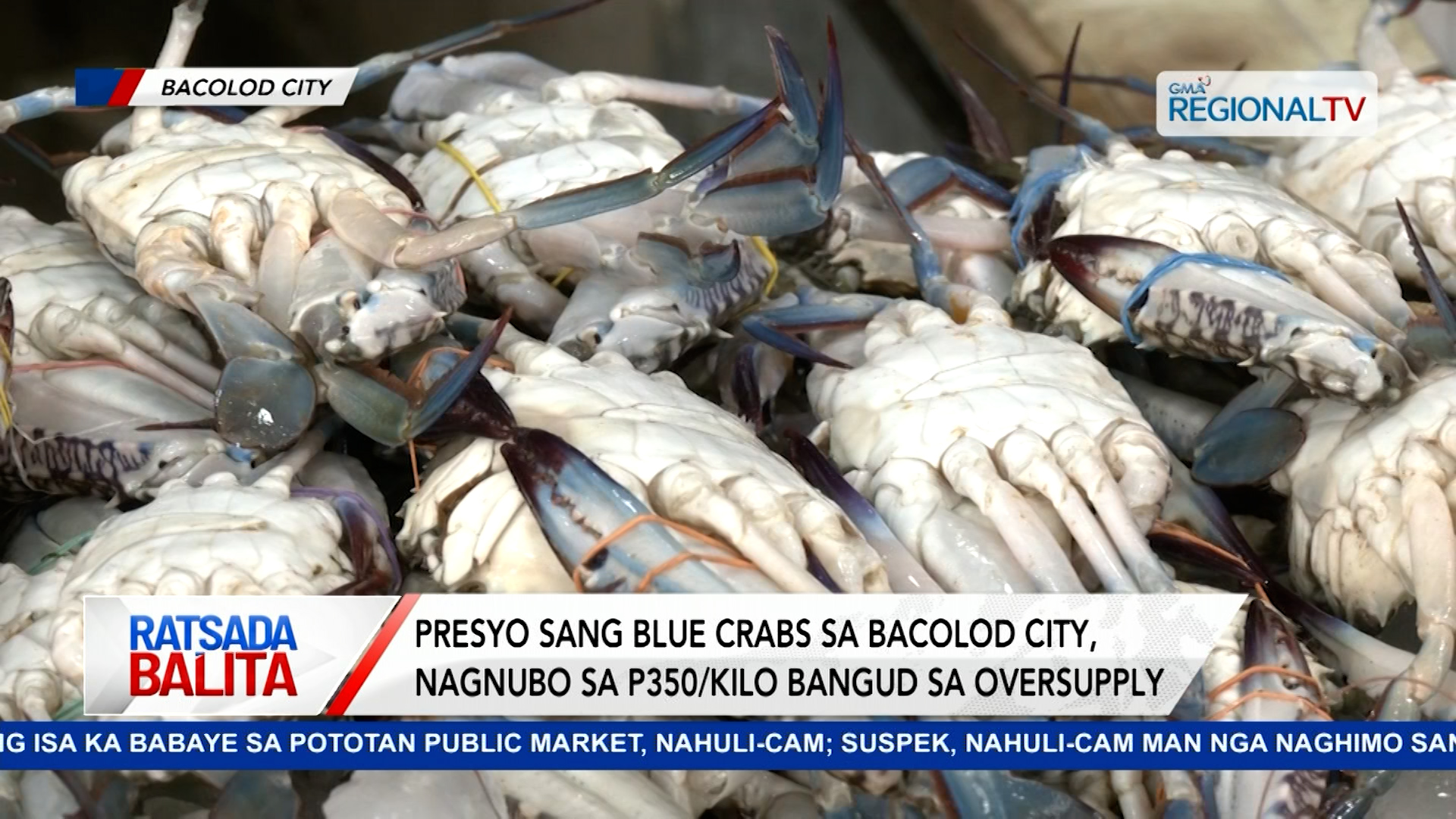 Presyo sang blue crabs sa Bacolod City, nagnubo sa P350/kilo bangud sa oversupply | Ratsada Balita
