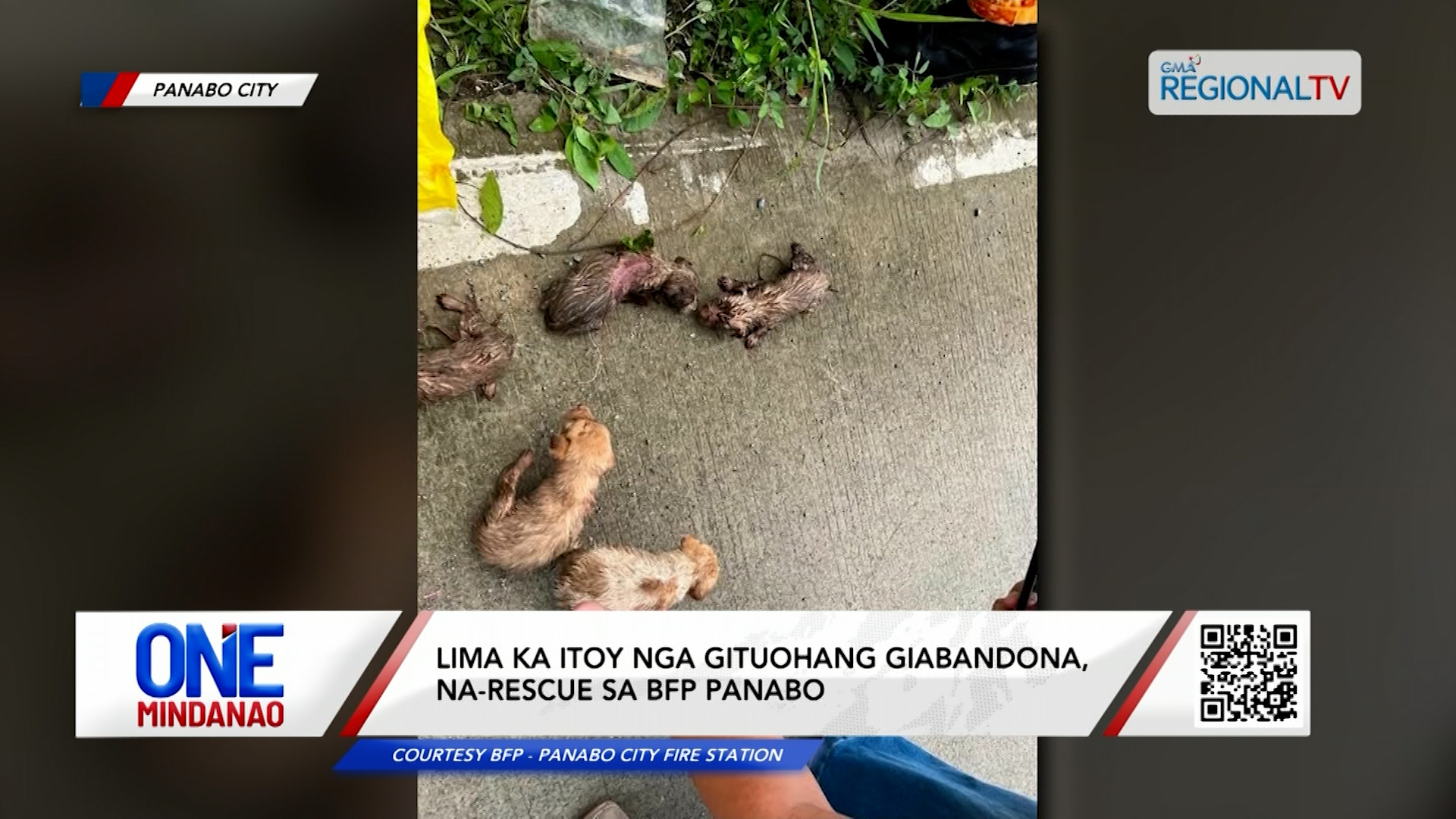Lima ka itoy nga gituohang giabandona, na-rescue I One Mindanao