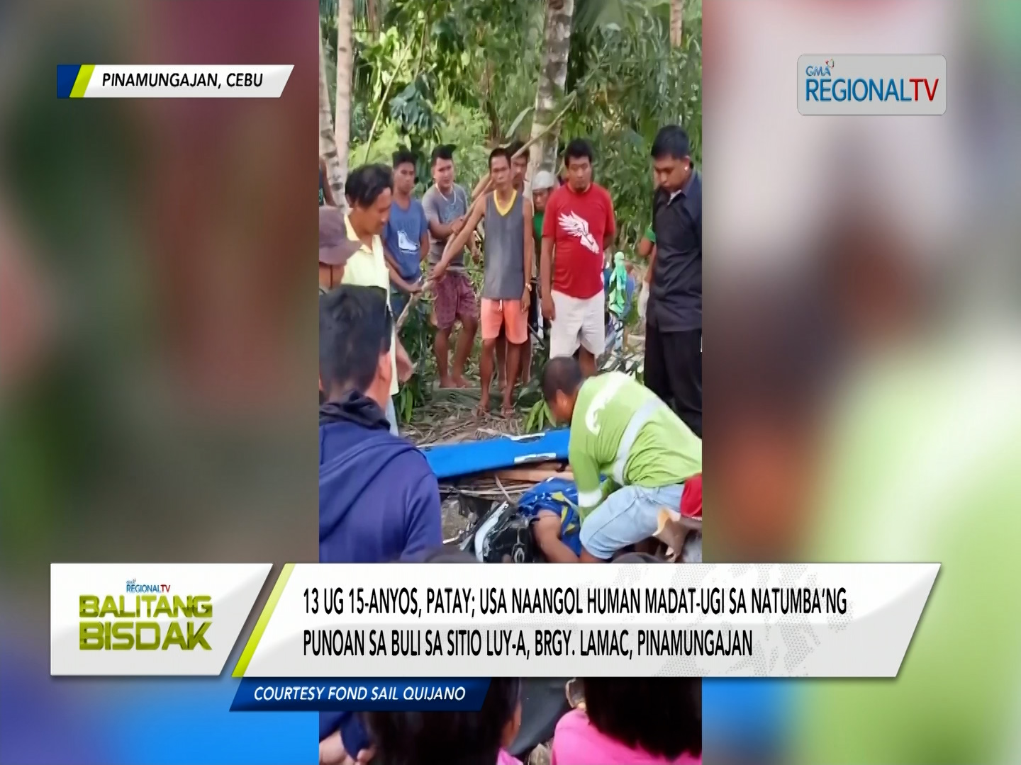 Duha ang patay human natumbahan og punoan sa buli