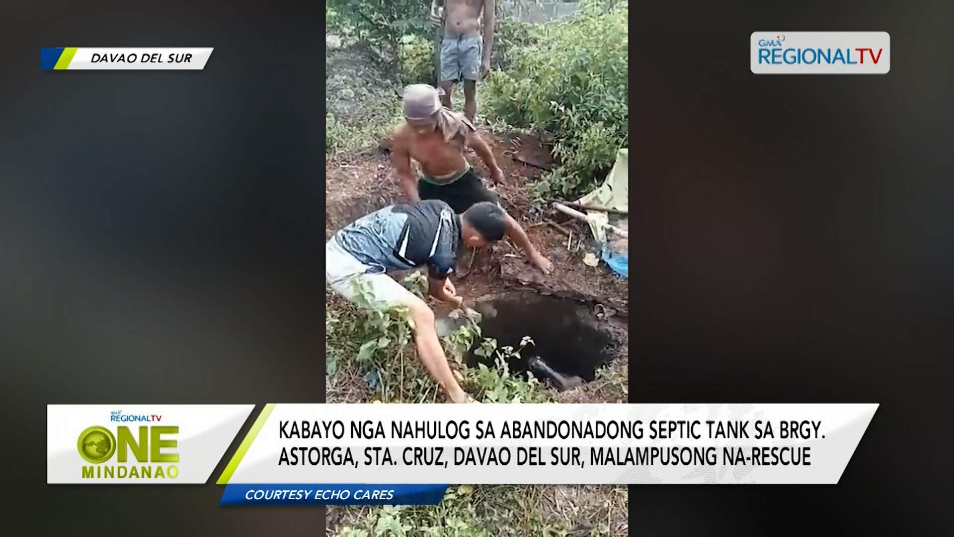 Kabayo nahulog sa abandonadong septic tank sa Brgy. Astorga, Sta. Cruz, Davao Del Sur