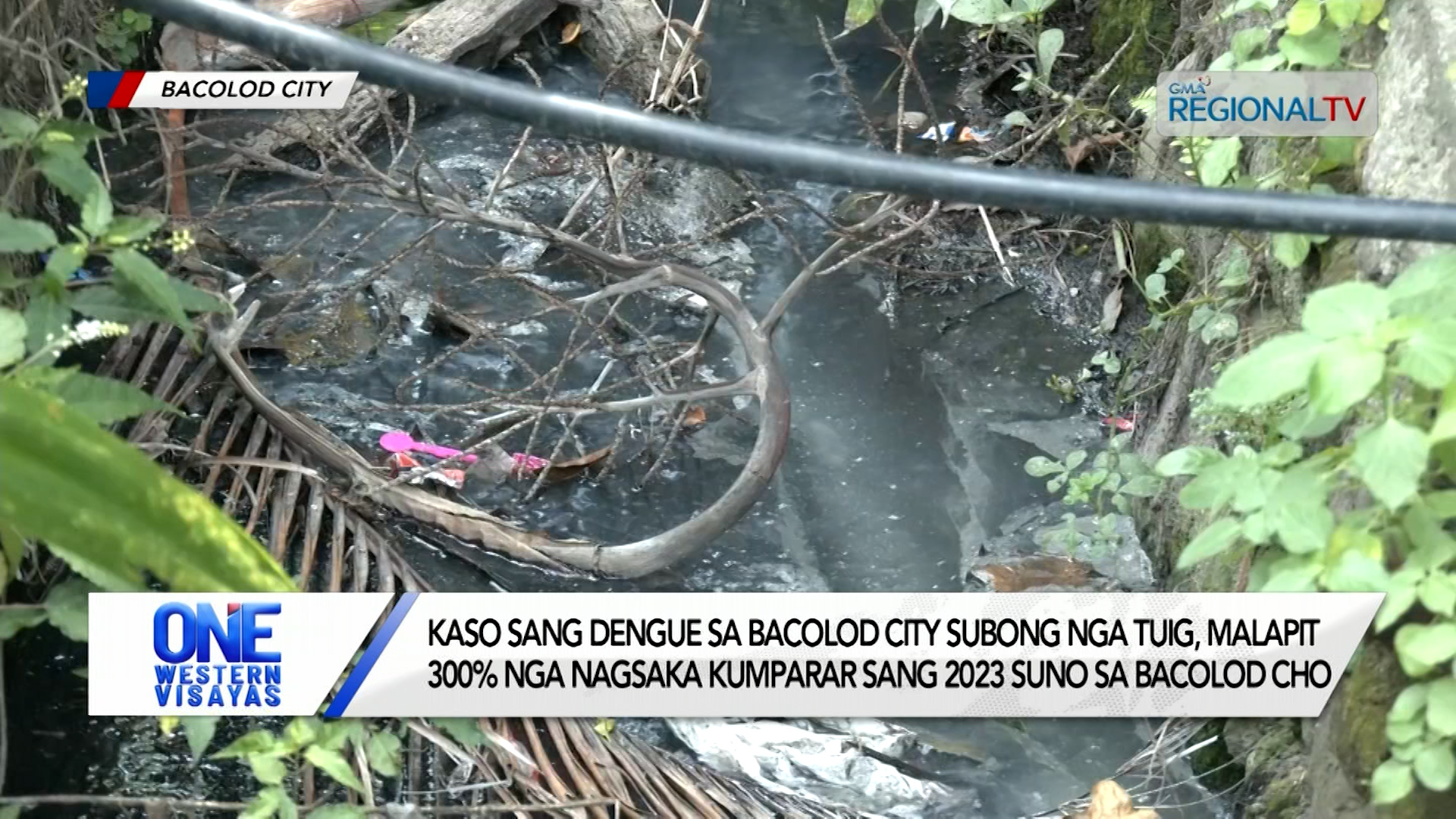 Kaso sang dengue sa Bacolod City subong nga tuig, malapit 300% ang pagsaka