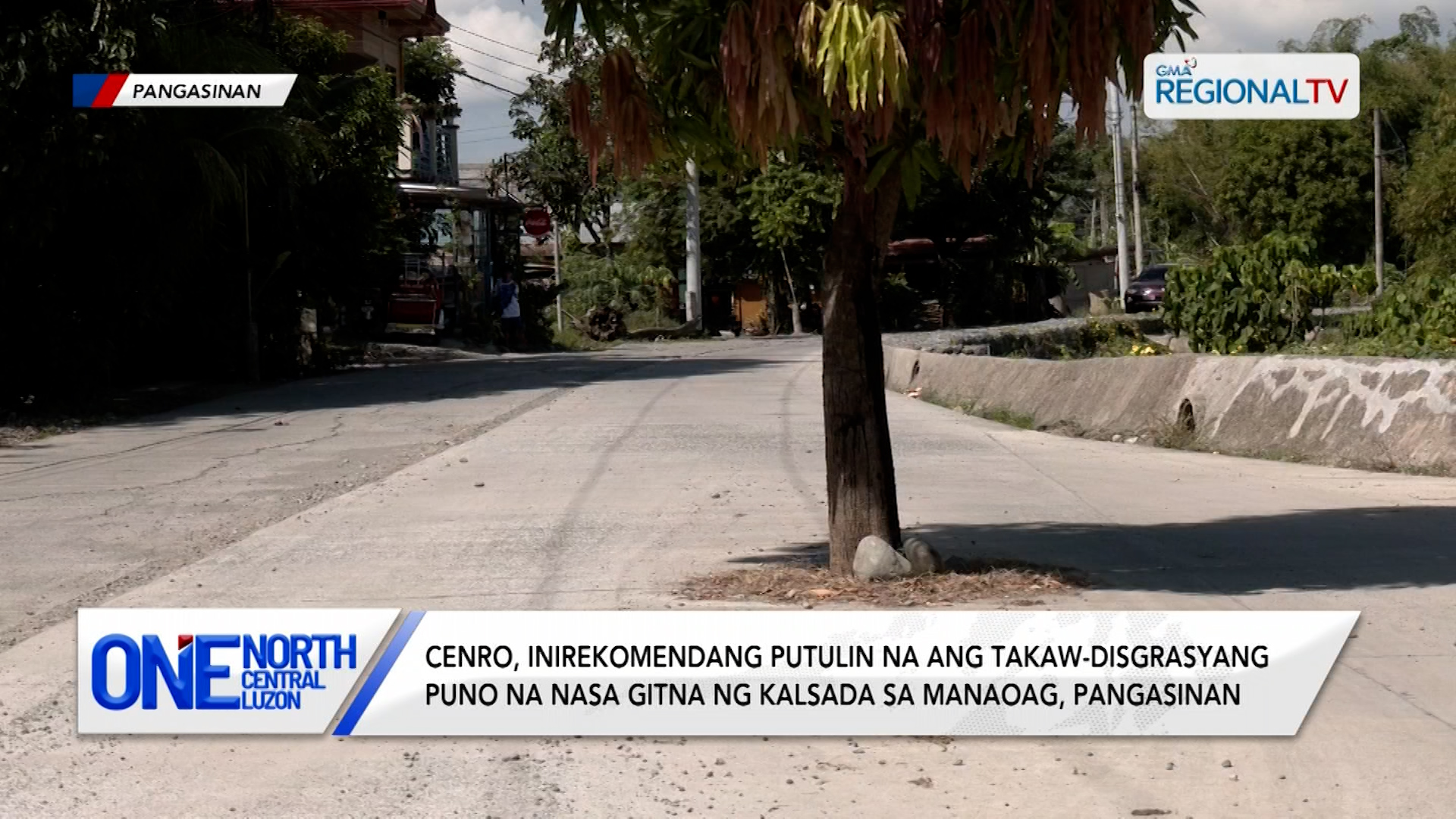 CENRO, inirekomendang putulin na ang puno na nasa gitna ng kalsada