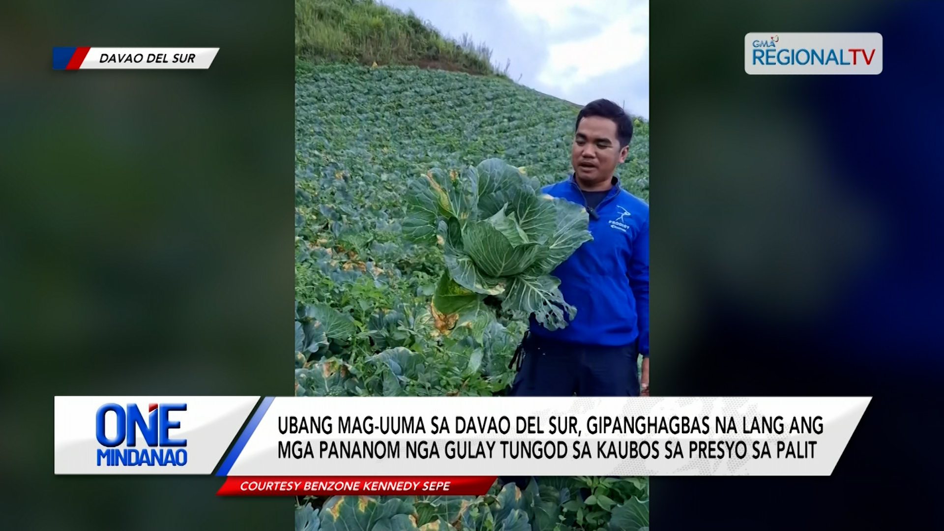 Mag-uuma, gipanghagbas ang mga pananom tungod sa kaubos sa presyo sa palit