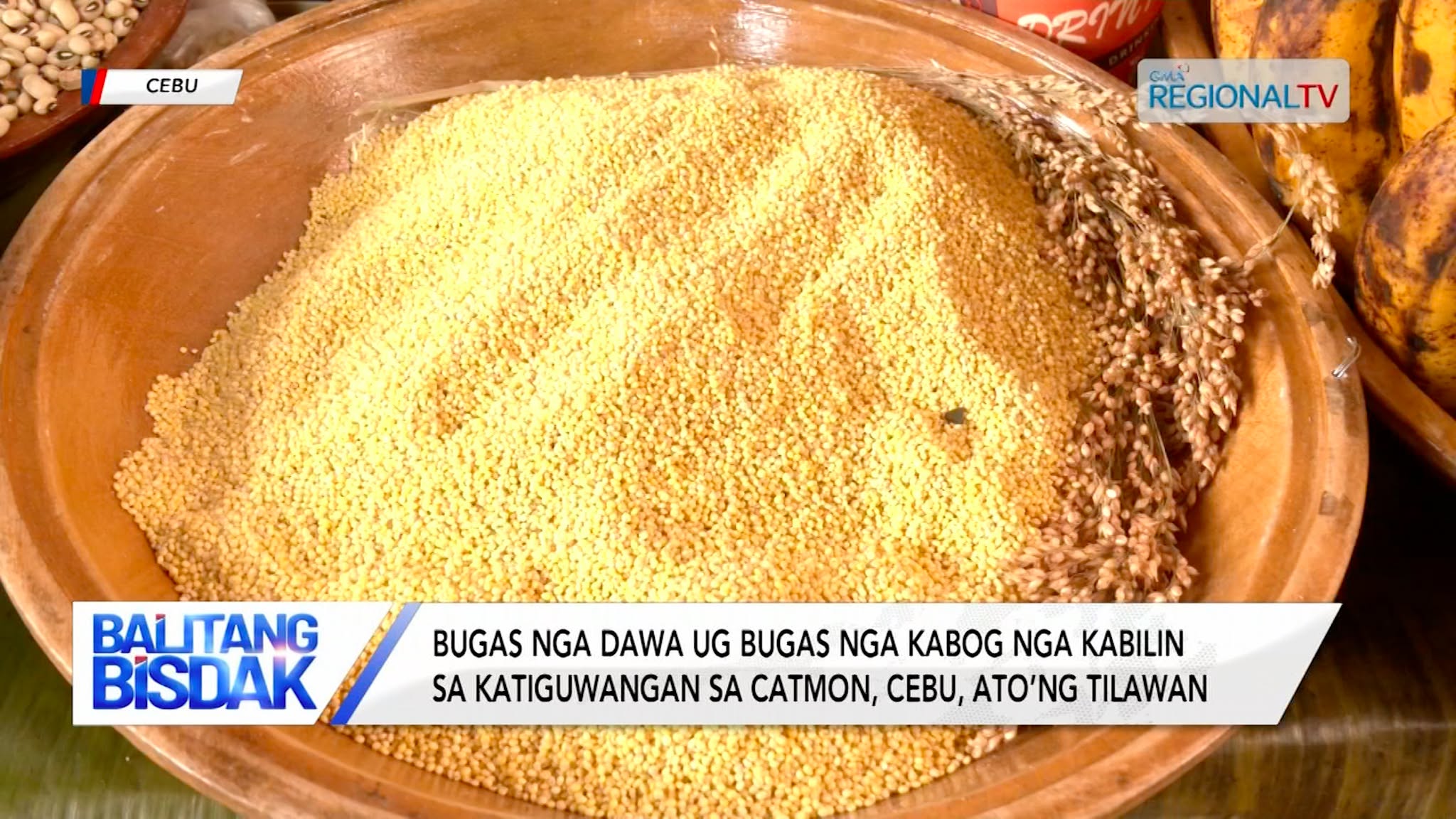 Bugas nga dawa ug bugas nga kabog sa Catmon, Cebu, ato’ng tilawan | Balitang Bisdak
