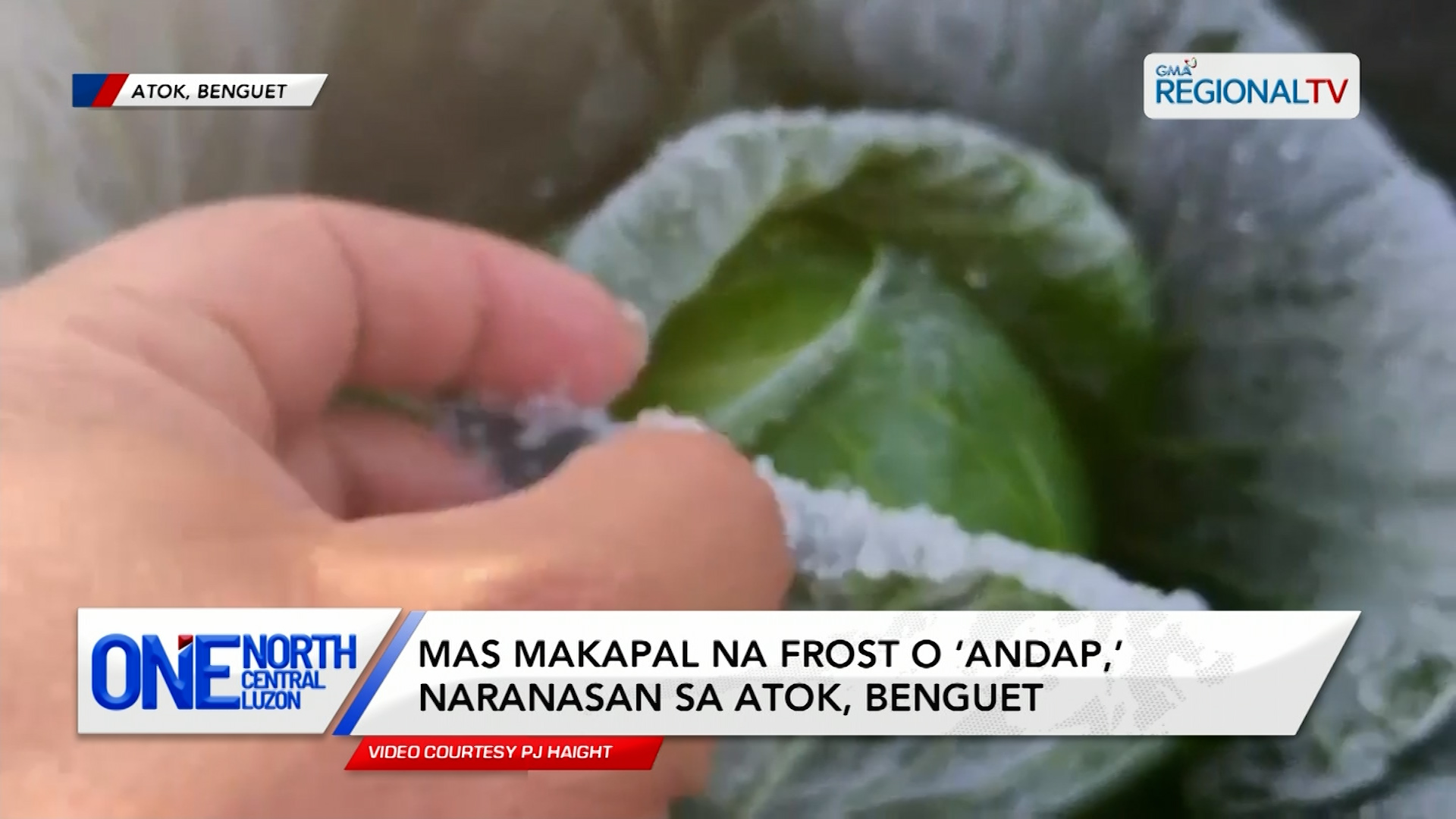 Mas makapal na frost o ‘andap,’ naranasan sa Atok, Benguet | One North Central Luzon