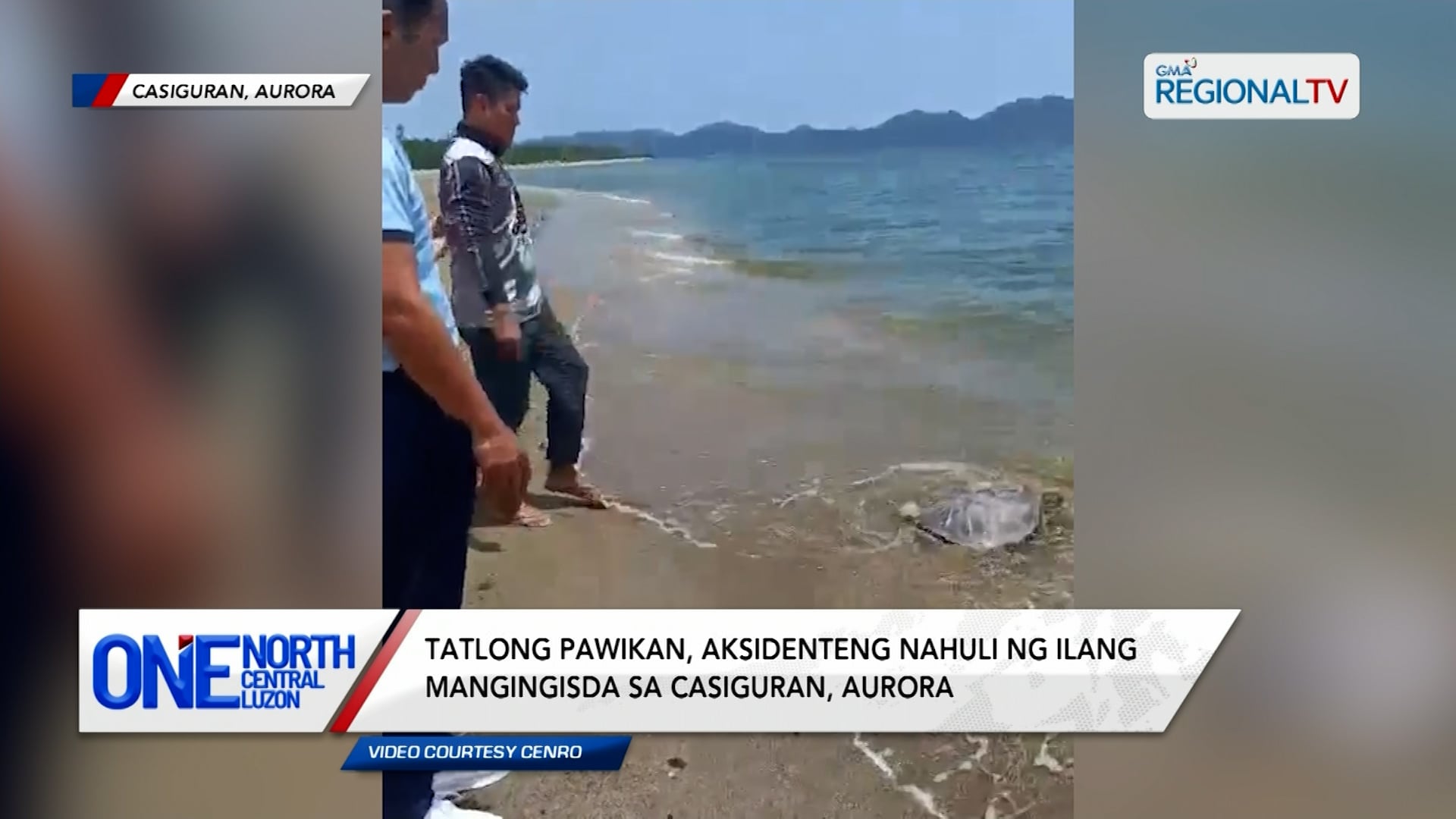 Tatlong pawikan, nahuli ng ilang mangingisda sa Casiguran, Aurora. | One North Central Luzon
